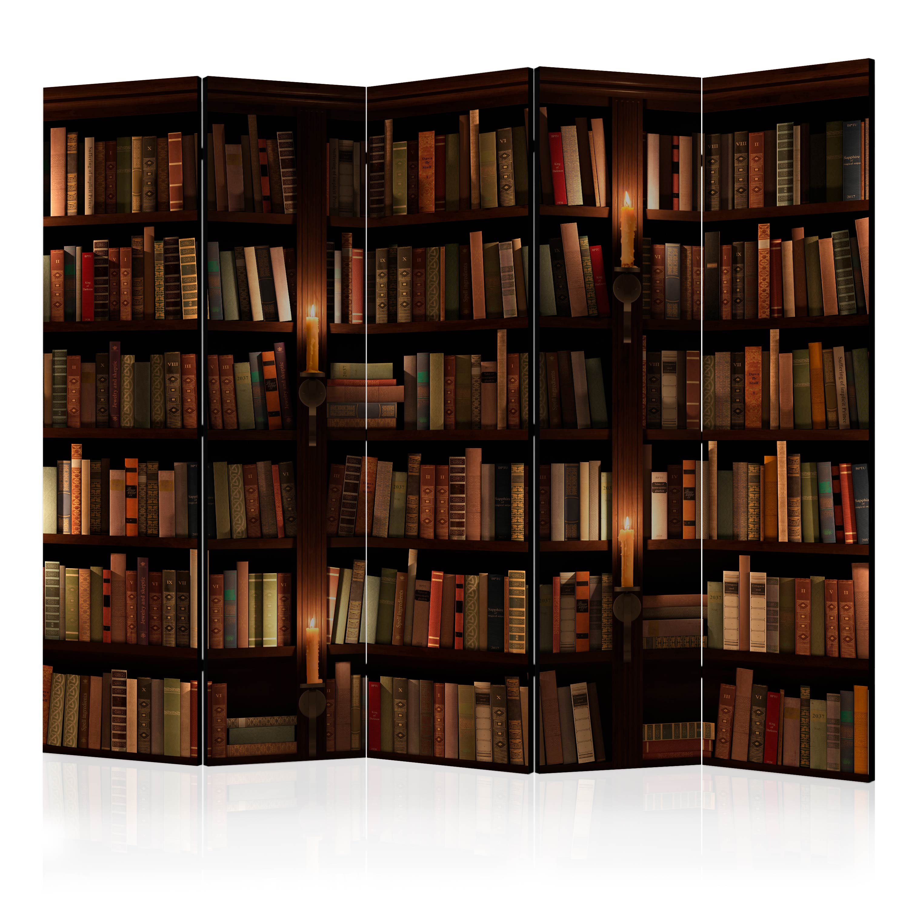 Folding Screen Room Divider Non-Woven Printed Library Books f-B-0142-z-c