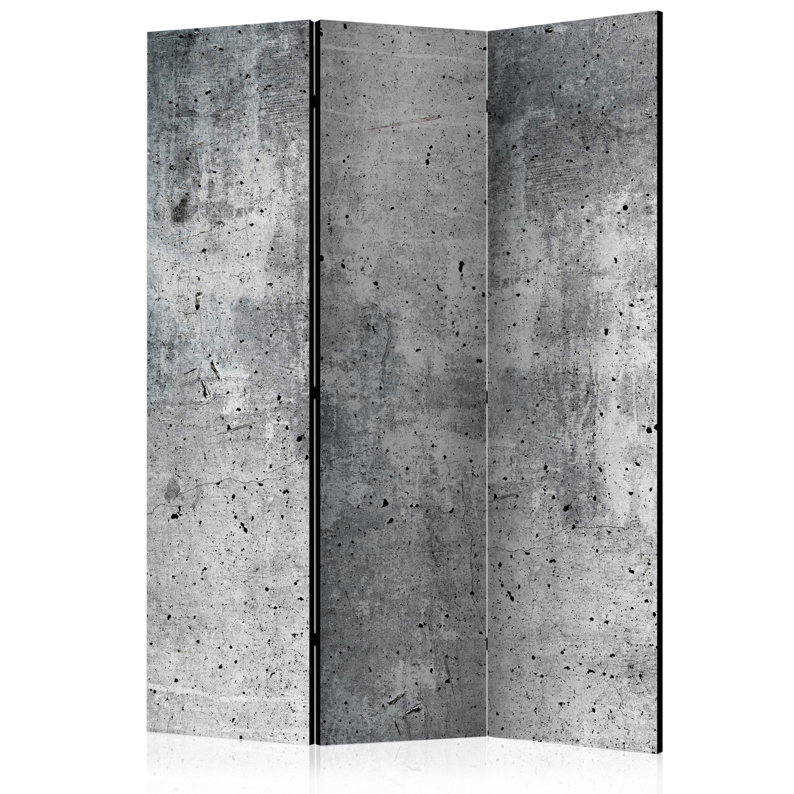 Room Divider - Fresh Concrete [Room Dividers] - 135x172