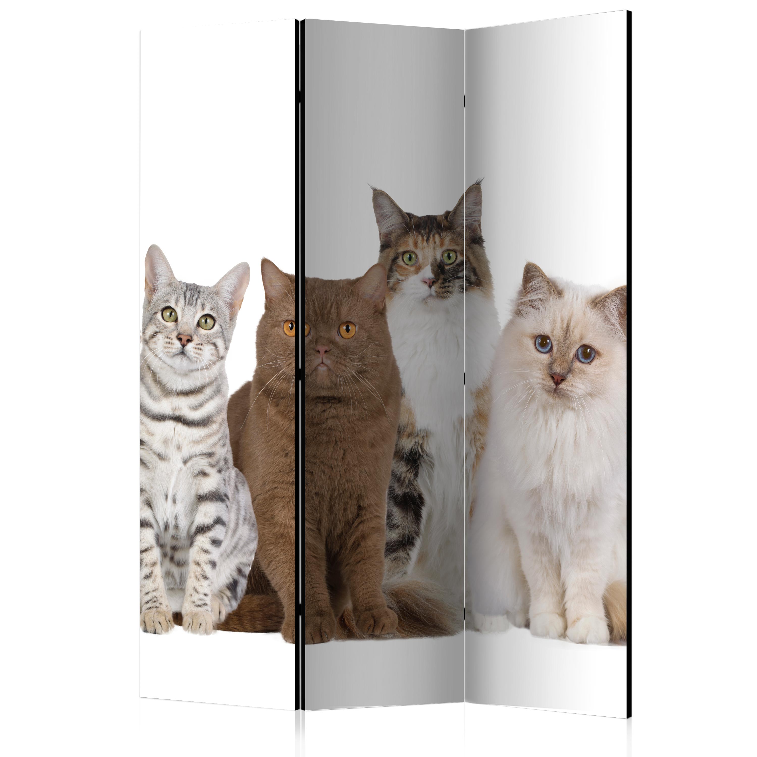 Room Divider - Sweet Cats [Room Dividers] - 135x172
