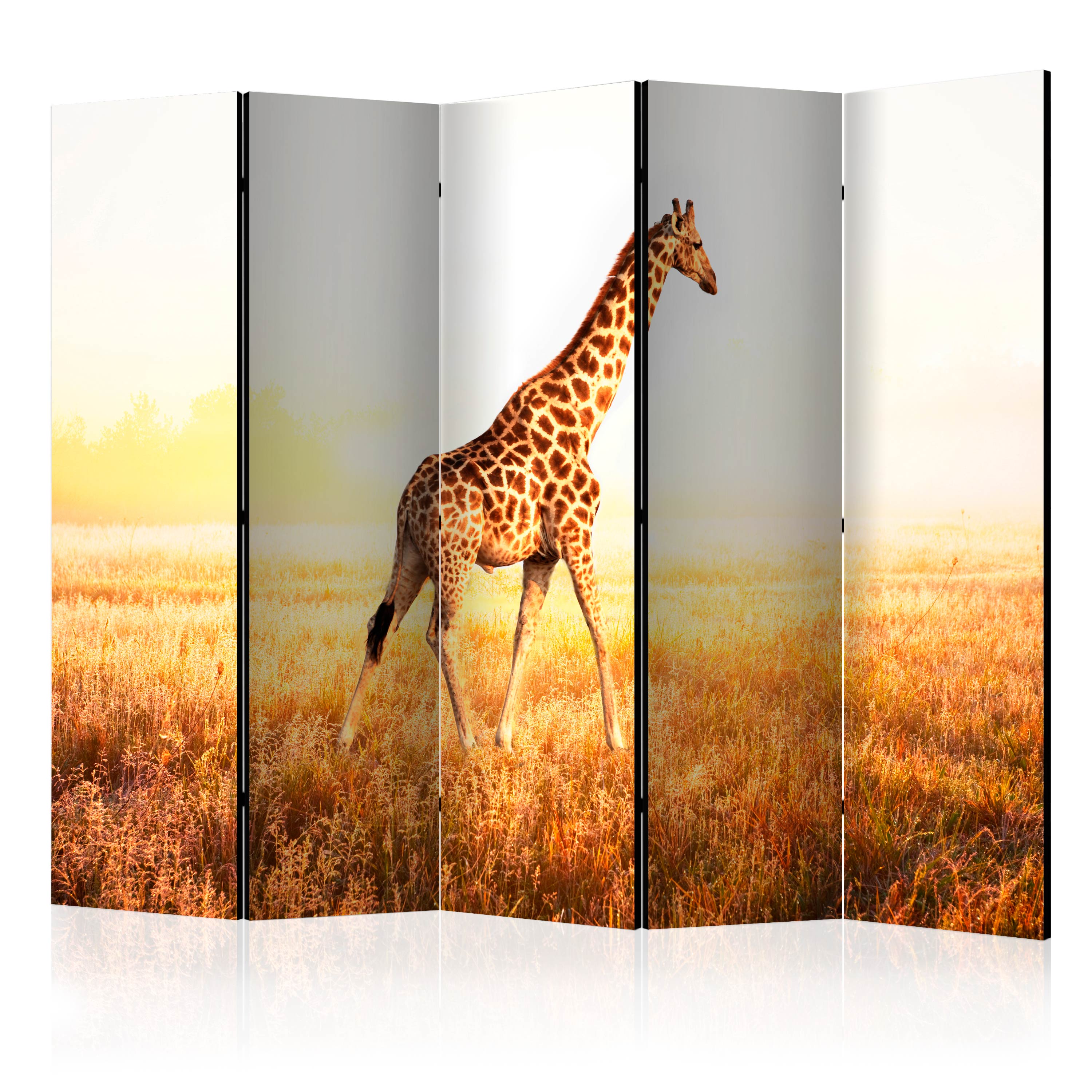 Room Divider - giraffe - walk II [Room Dividers] - 225x172