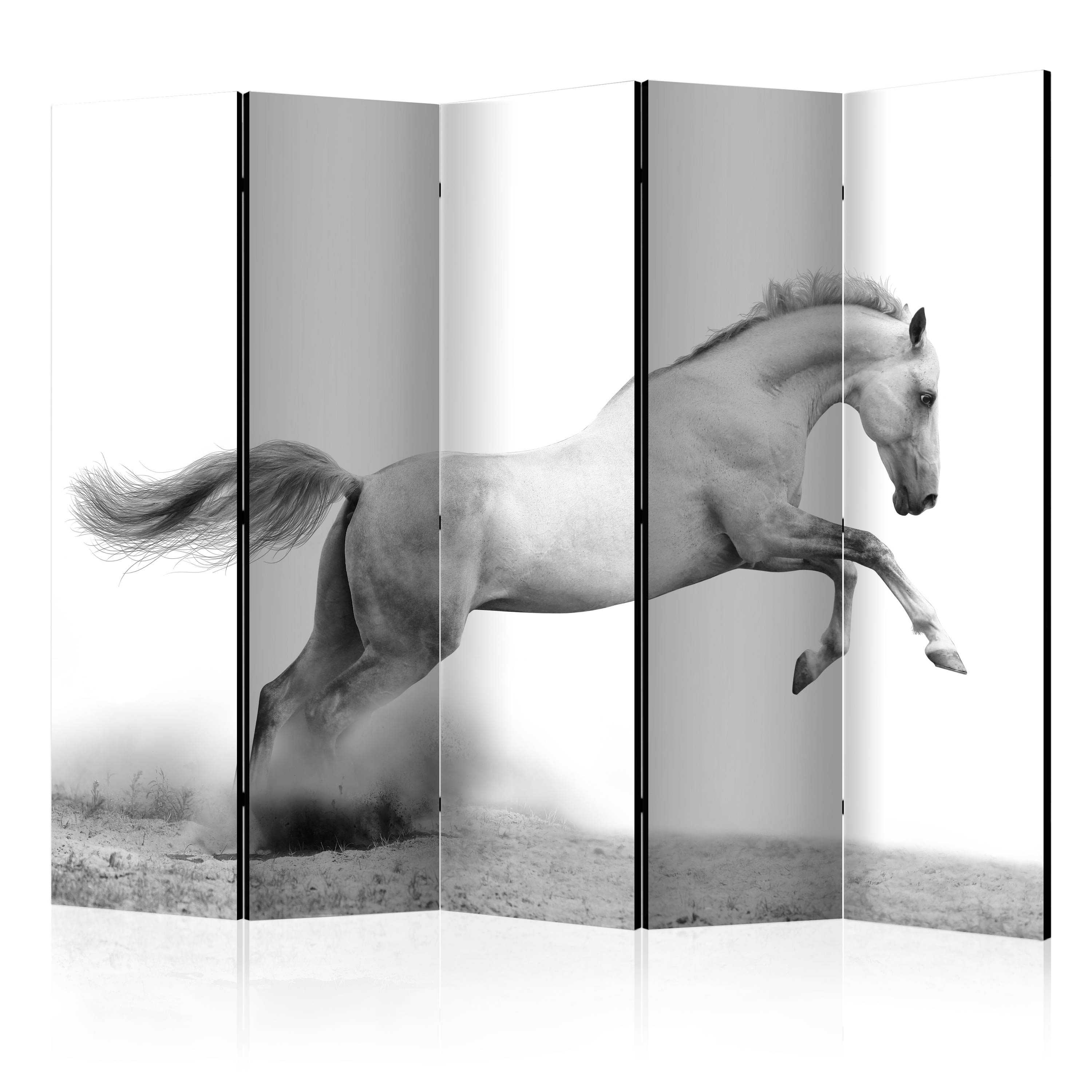 Room Divider - White gallop II [Room Dividers] - 225x172