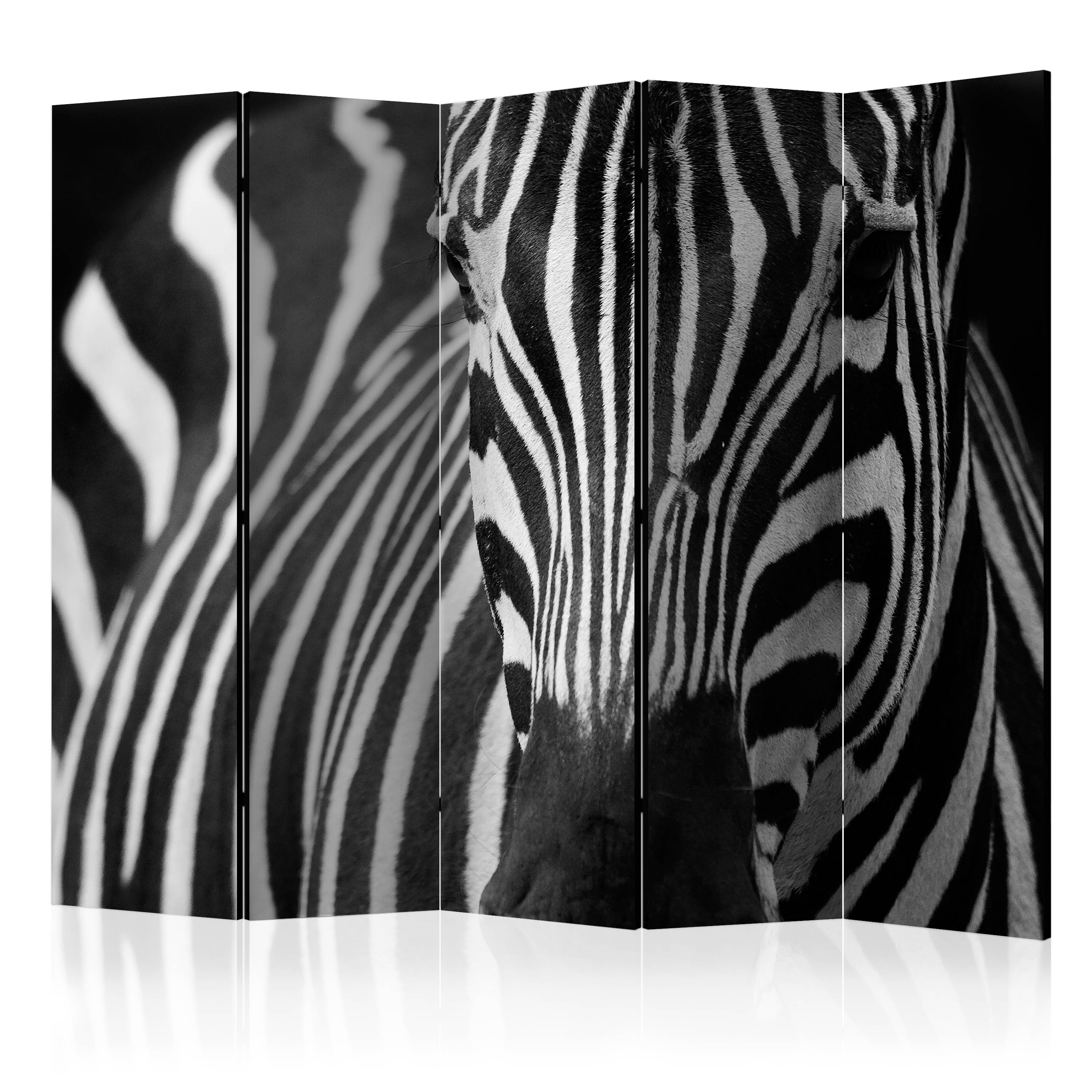 Room Divider - White with black stripes II [Room Dividers] - 225x172