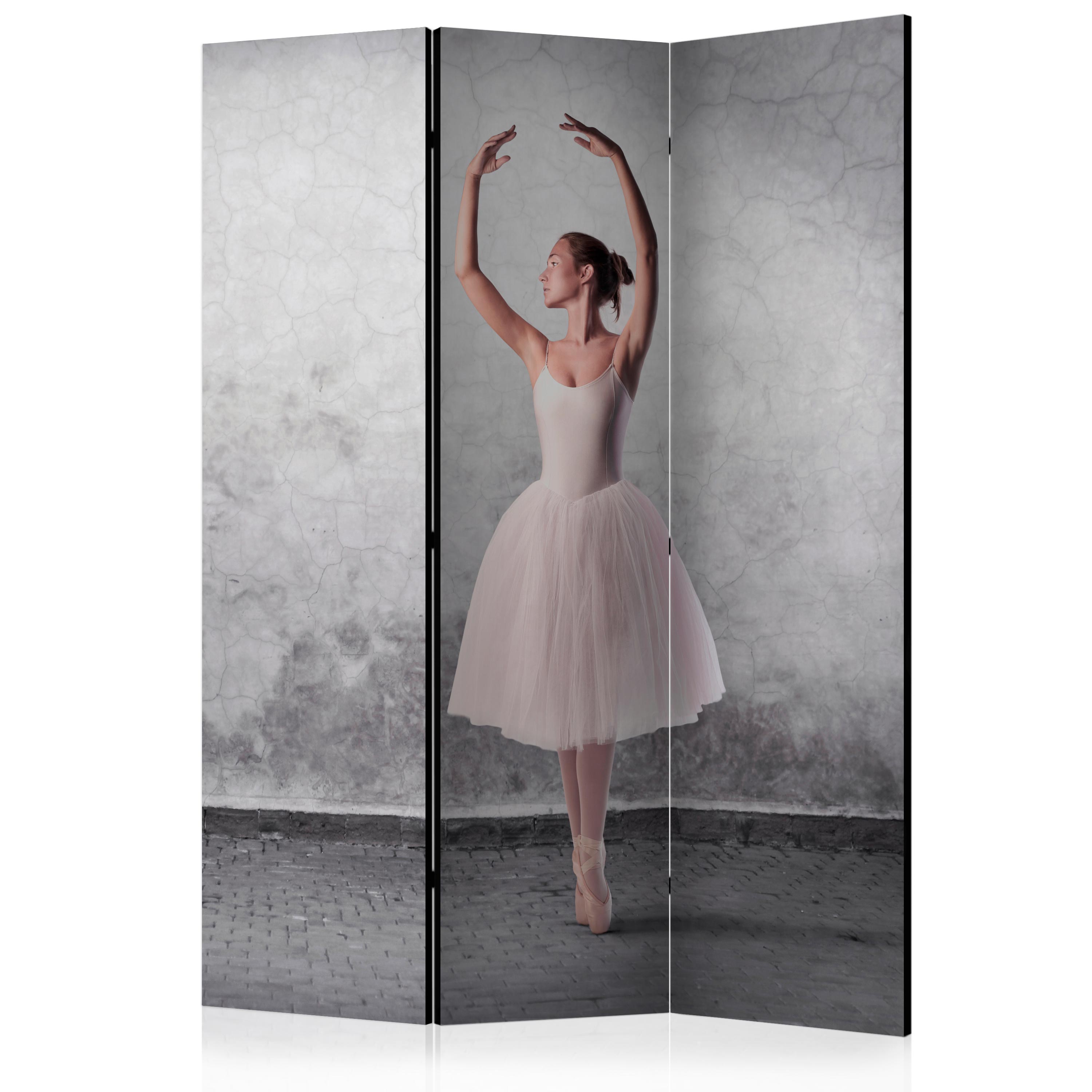 Room Divider - Ballerina in Degas paintings style [Room Dividers] - 135x172