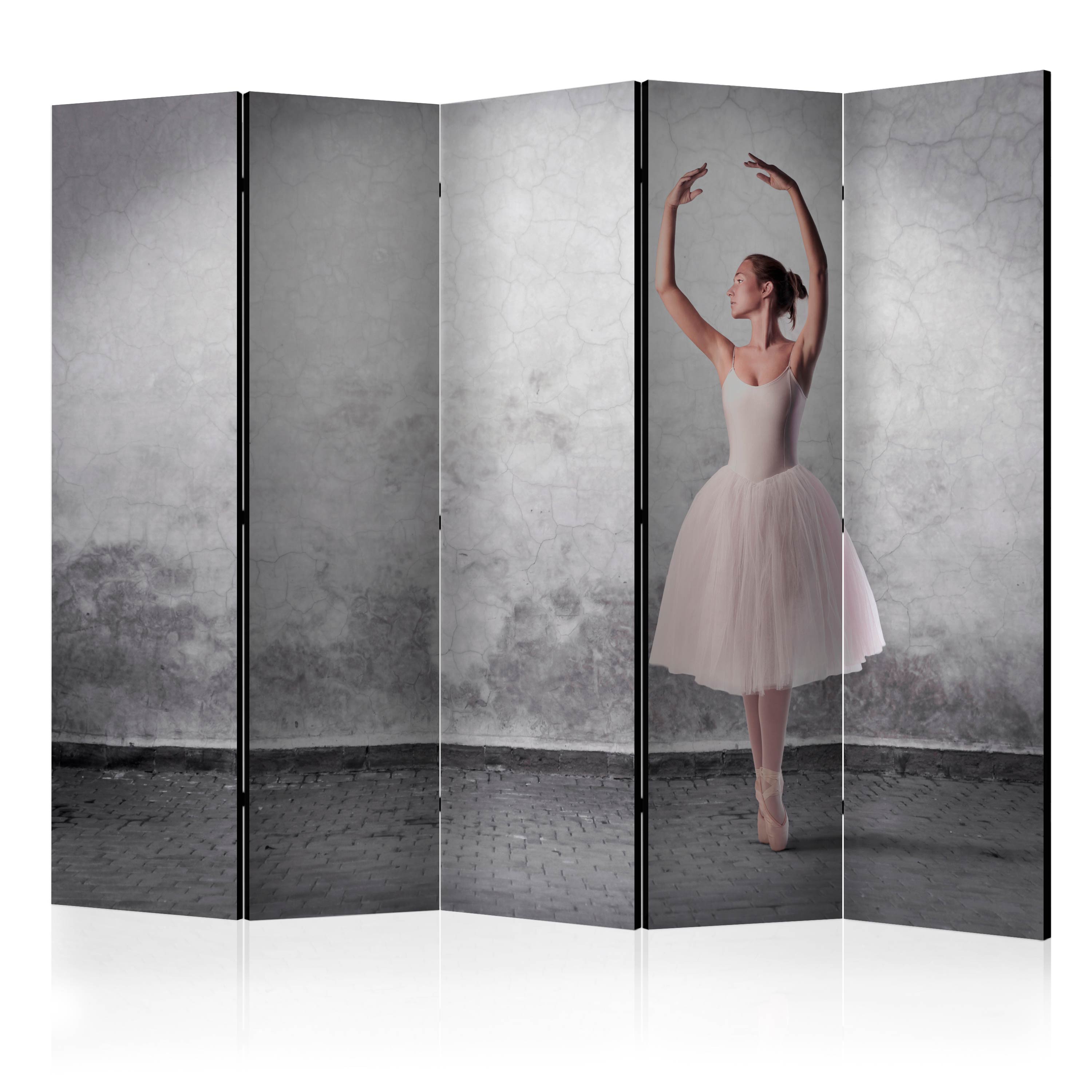 Room Divider - Ballerina in Degas paintings style II [Room Dividers] - 225x172