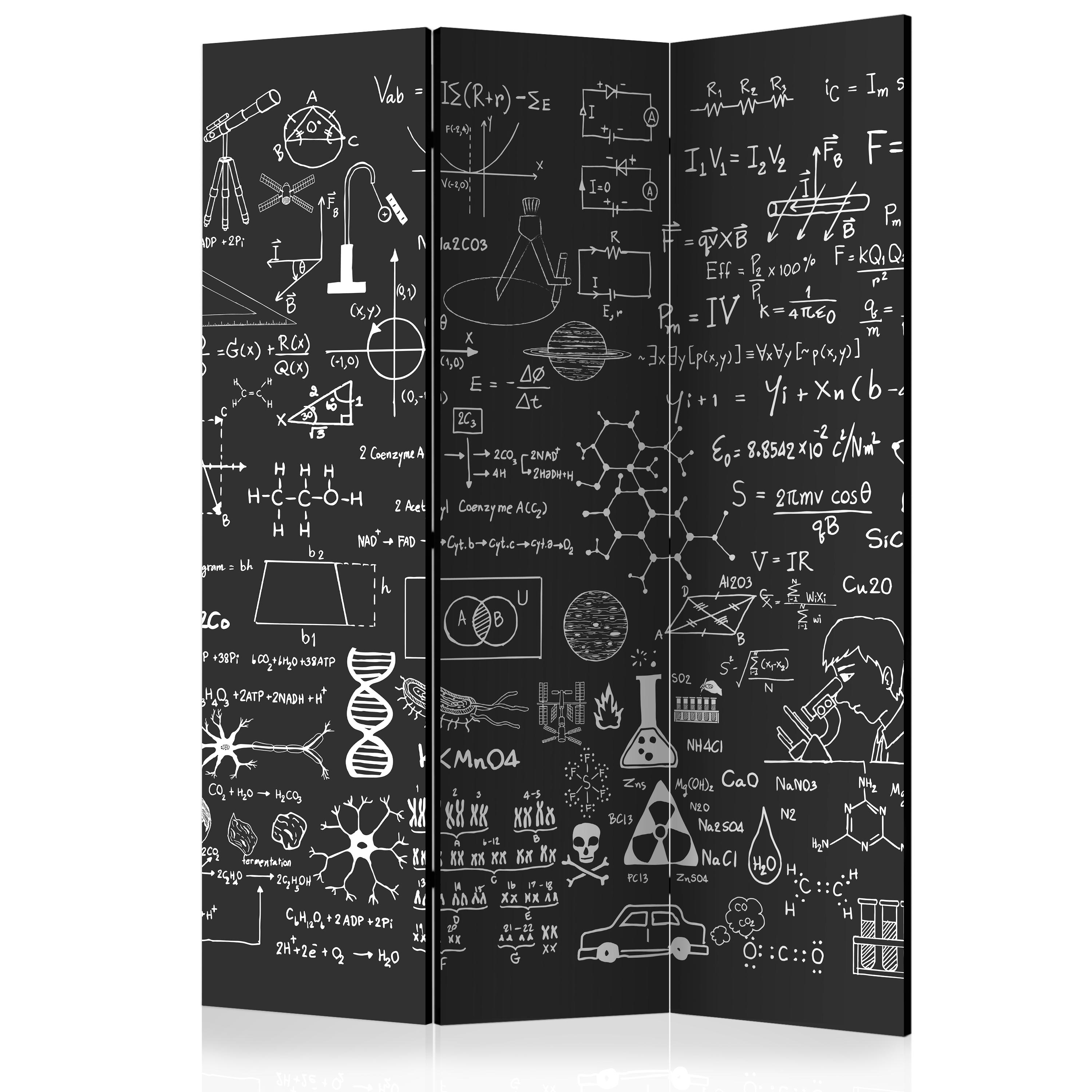 Room Divider - Science on Chalkboard [Room Dividers] - 135x172