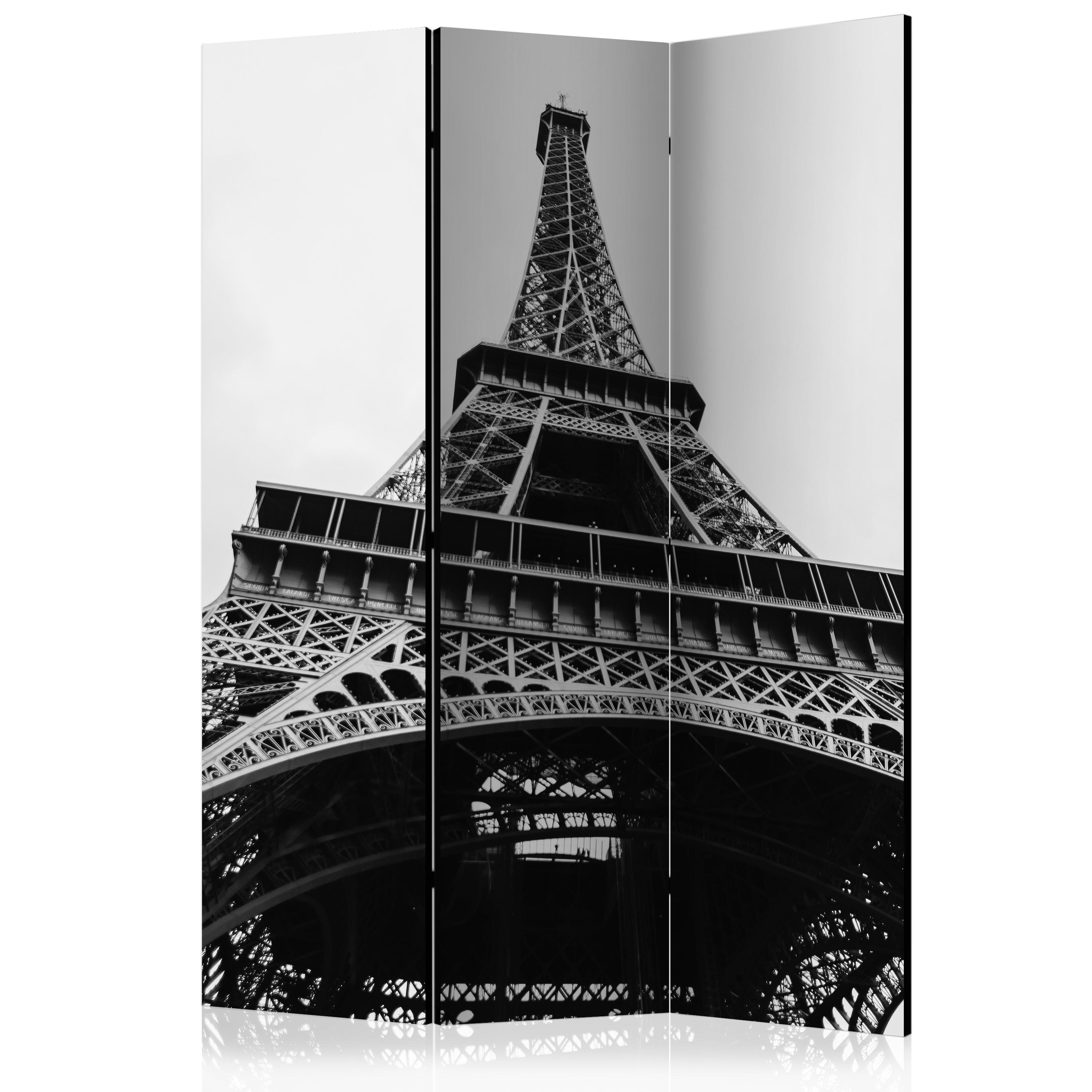Room Divider - Paris Giant [Room Dividers] - 135x172