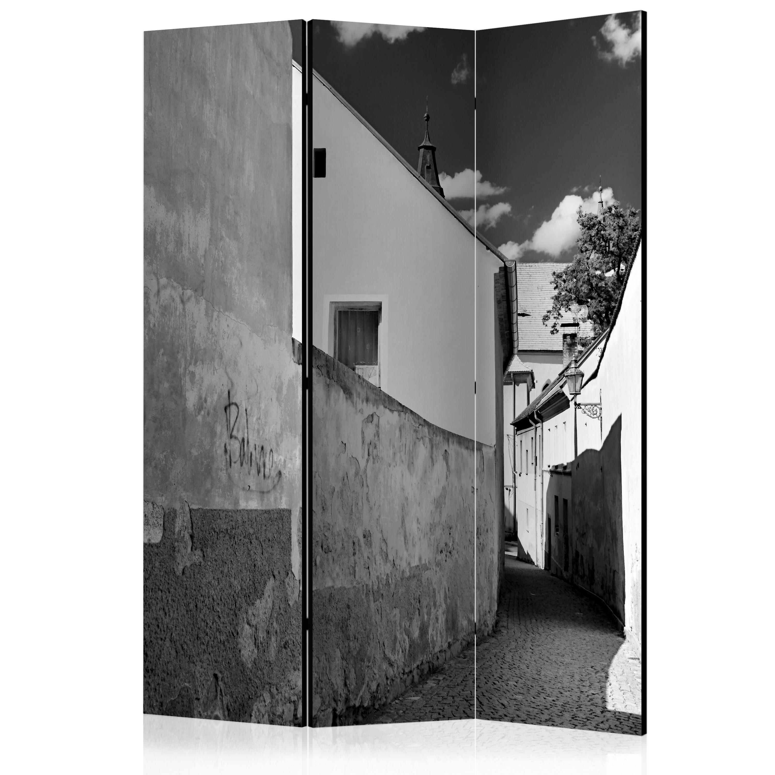 Room Divider - Narrow Street [Room Dividers] - 135x172
