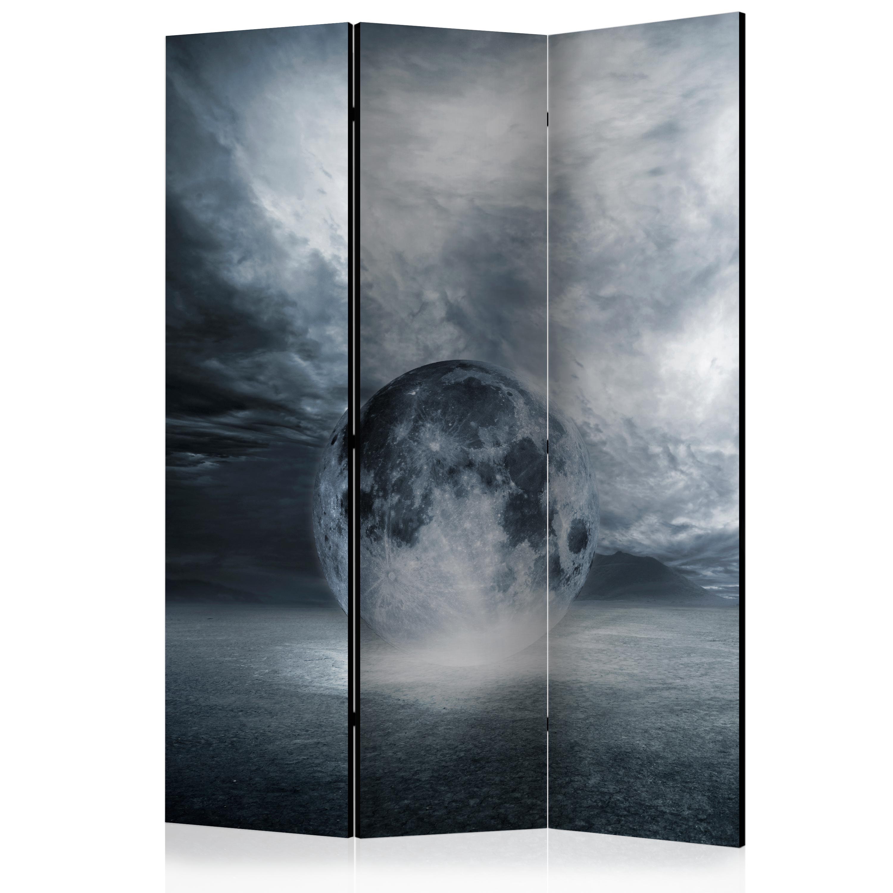 Room Divider - The lost planet [Room Dividers] - 135x172