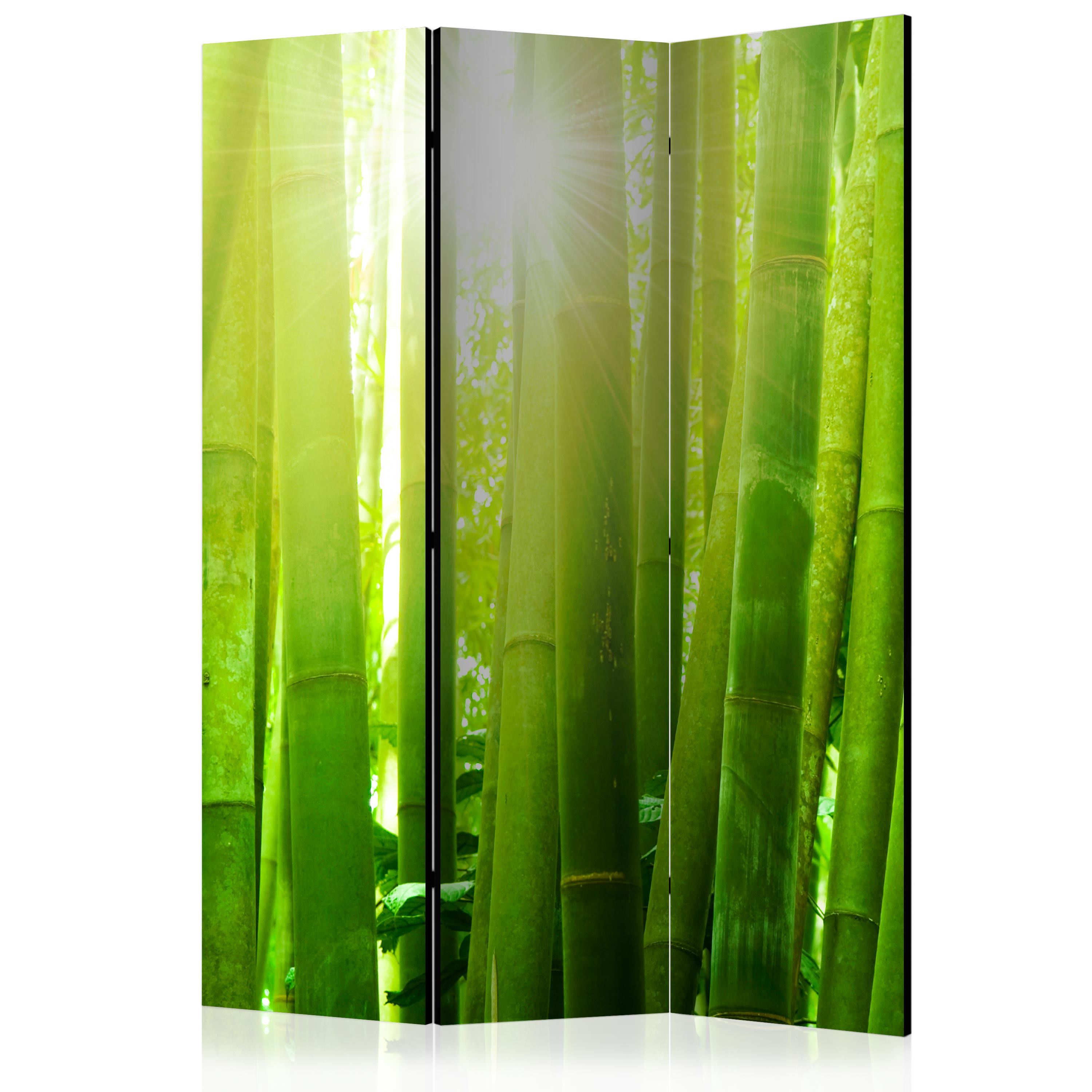 Room Divider - Sun and bamboo [Room Dividers] - 135x172
