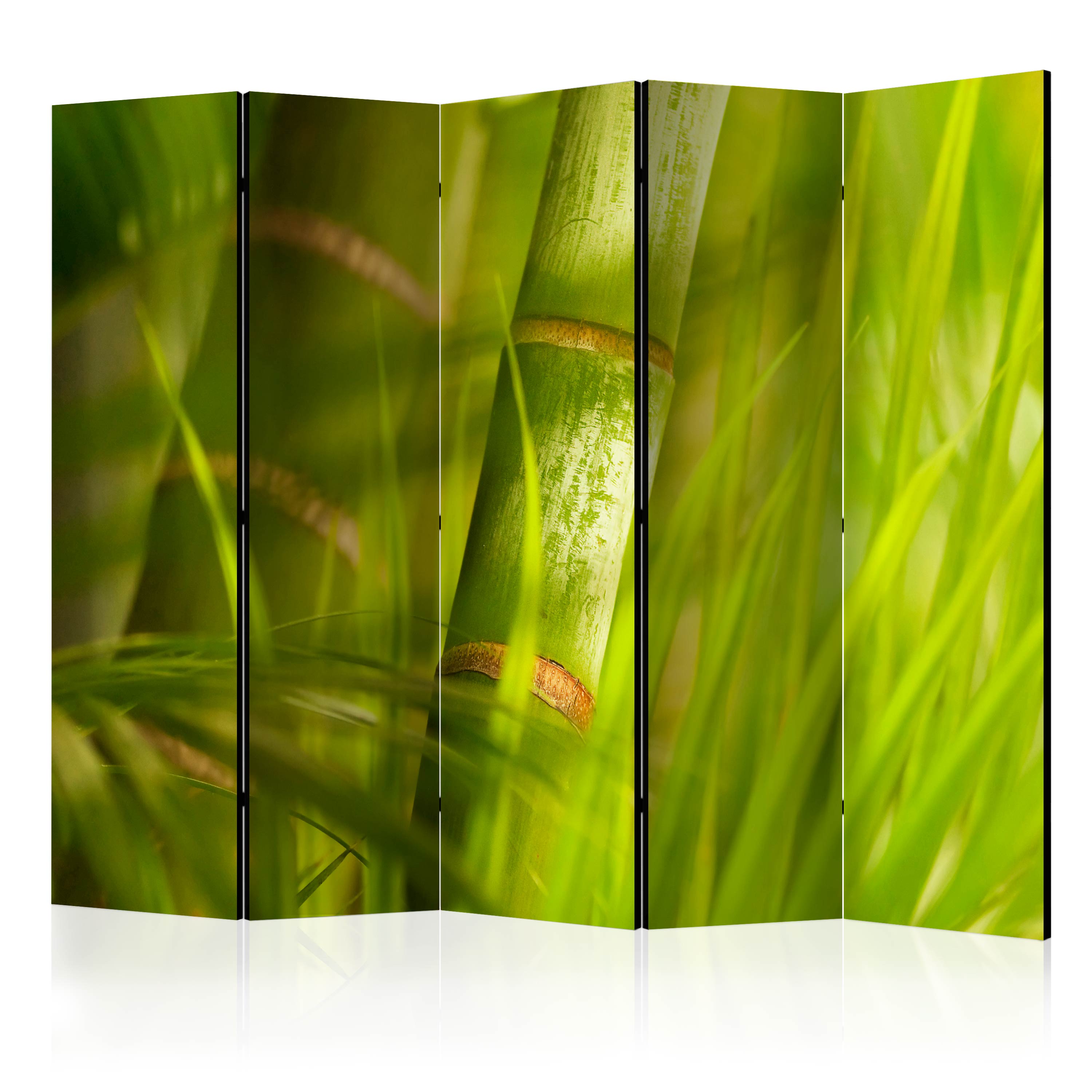 Room Divider - bamboo - nature zen II [Room Dividers] - 225x172