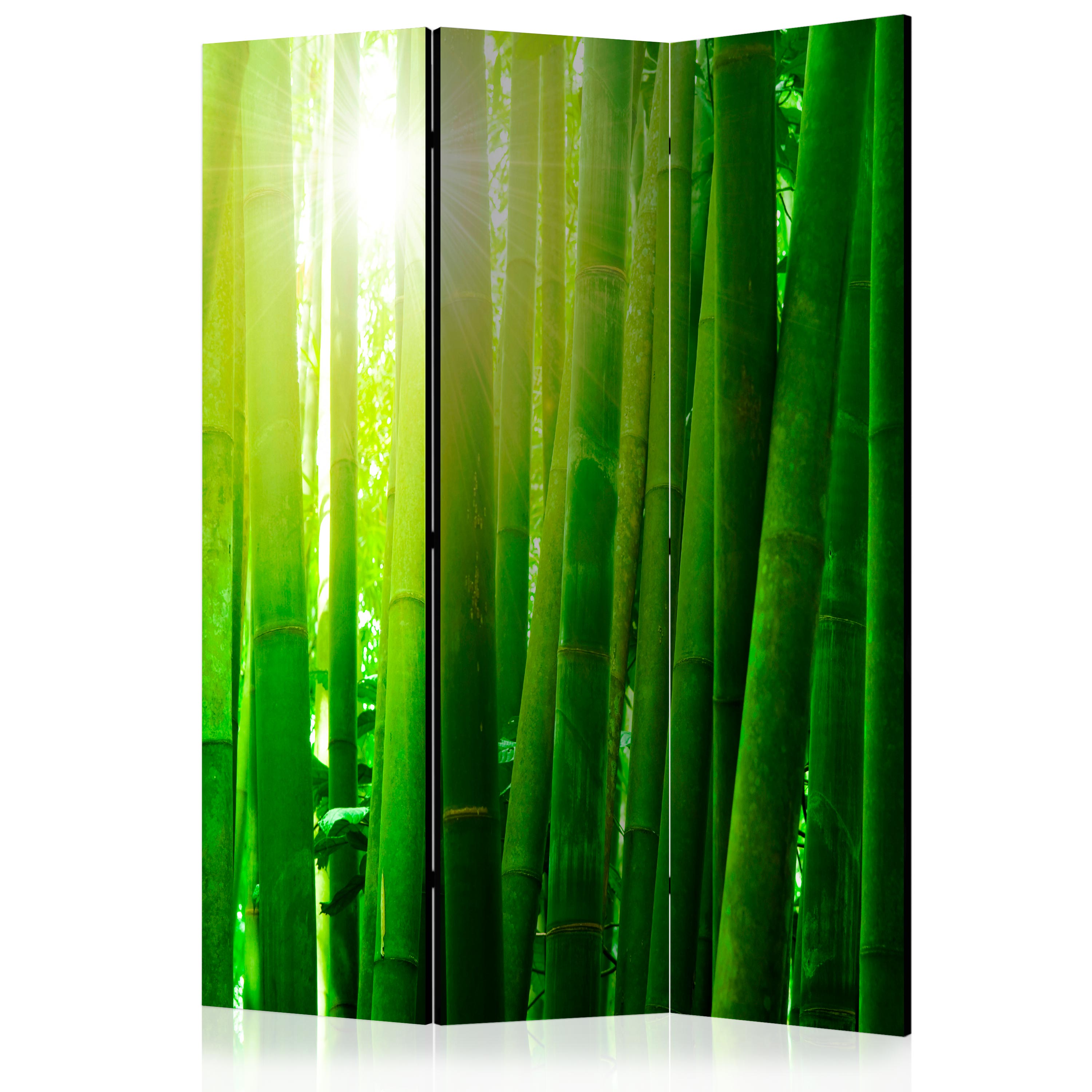 Room Divider - Sun and bamboo [Room Dividers] - 135x172