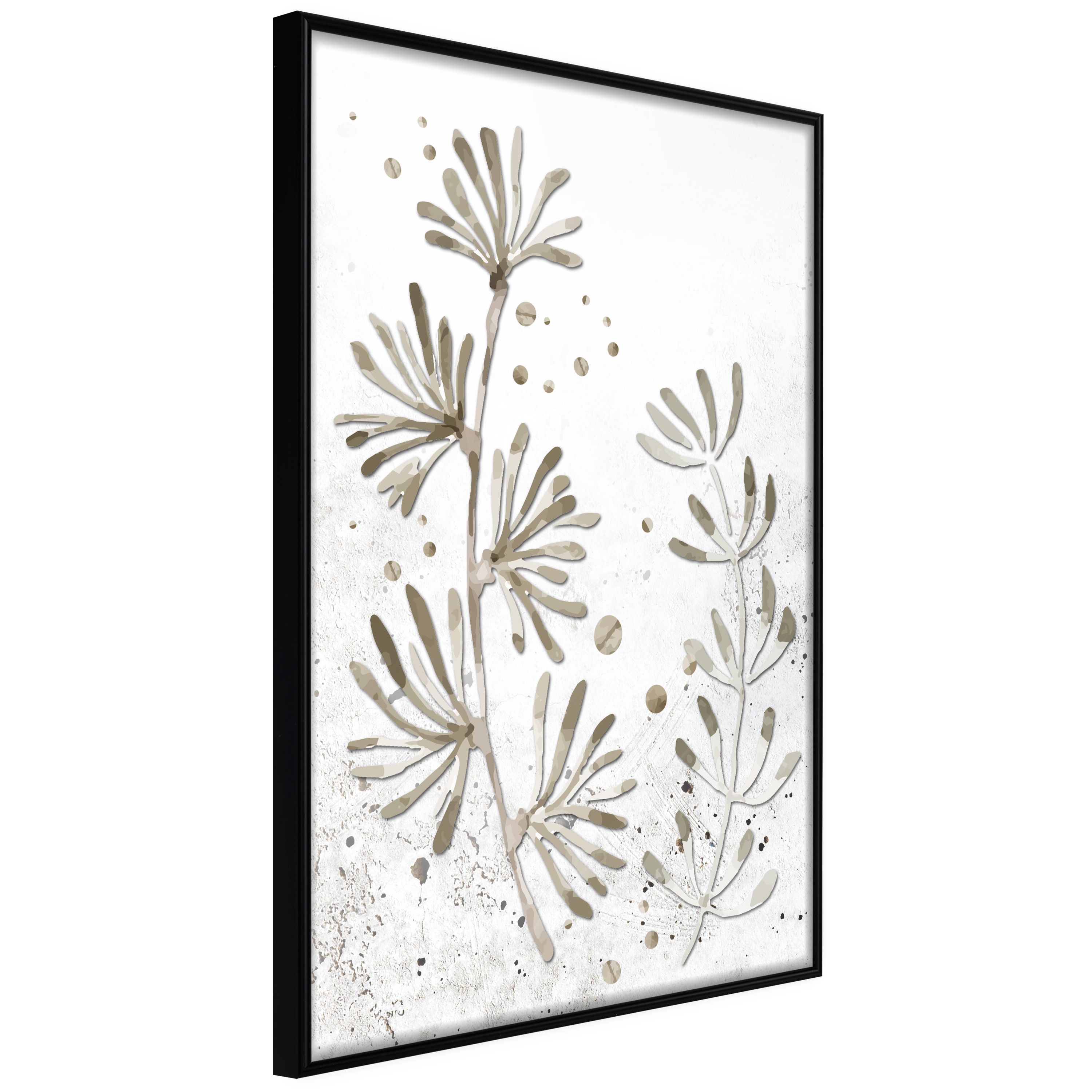 Poster - Dried Plants - 20x30