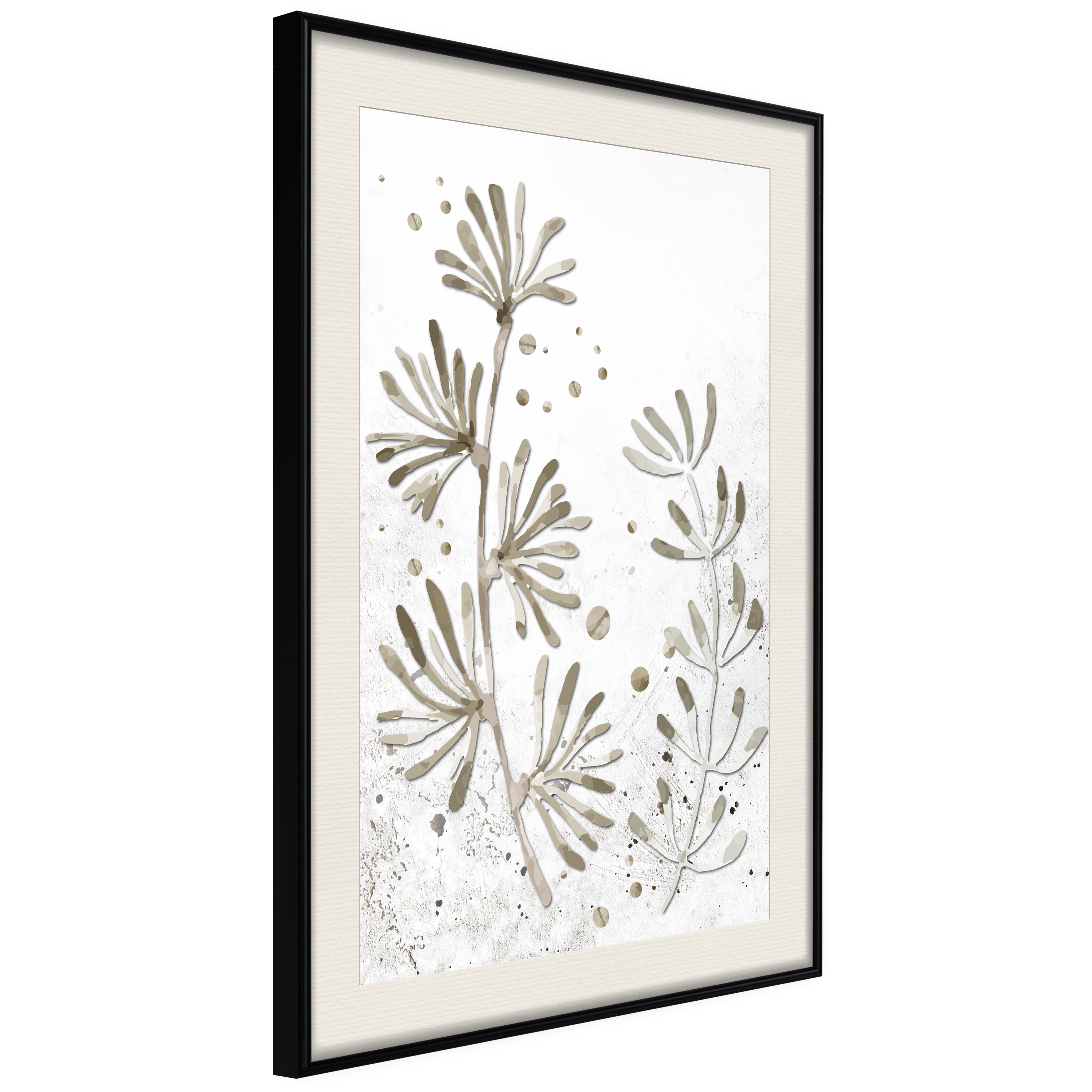 Poster - Dried Plants - 40x60