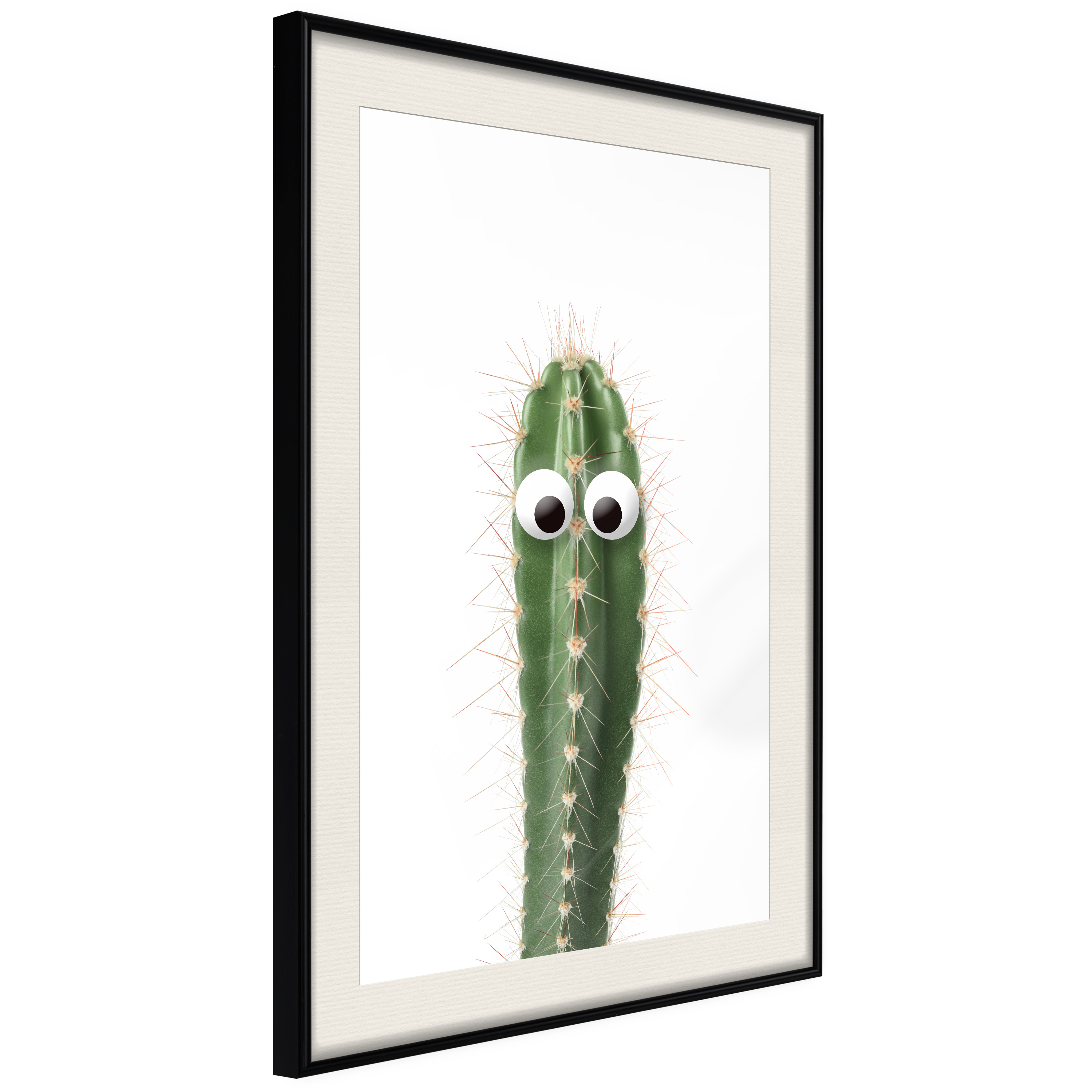 Poster - Funny Cactus I - 40x60