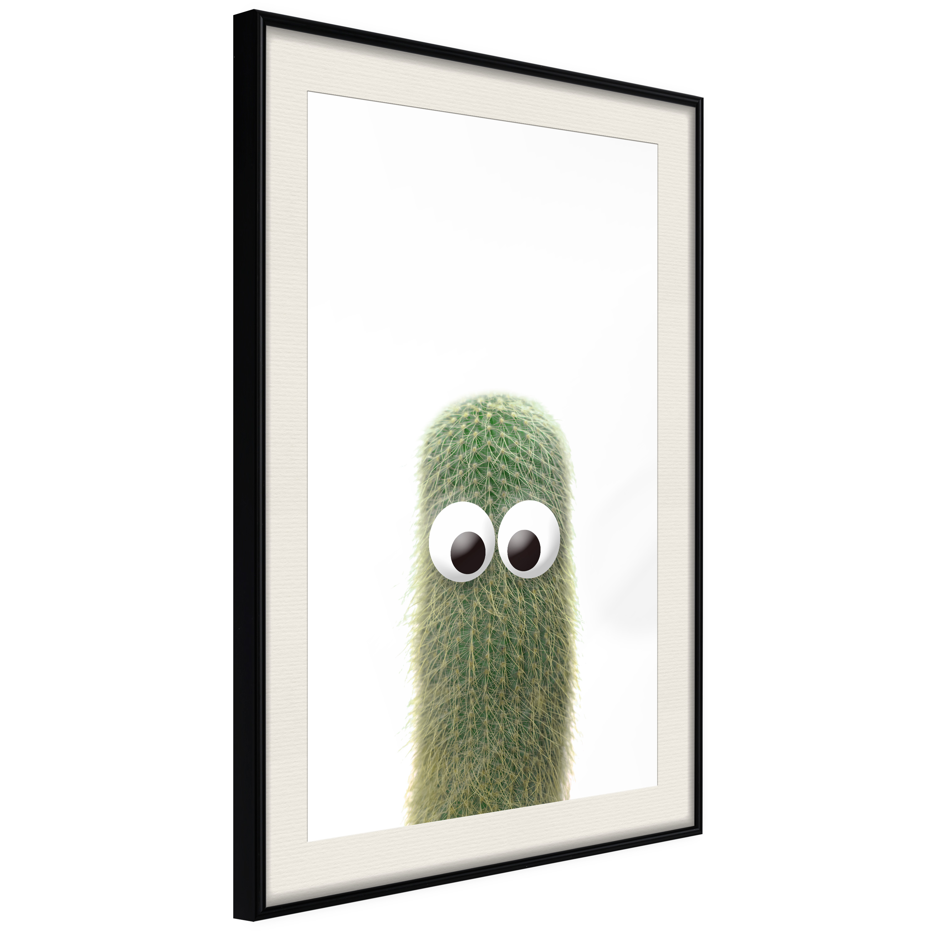 Poster - Funny Cactus IV - 40x60