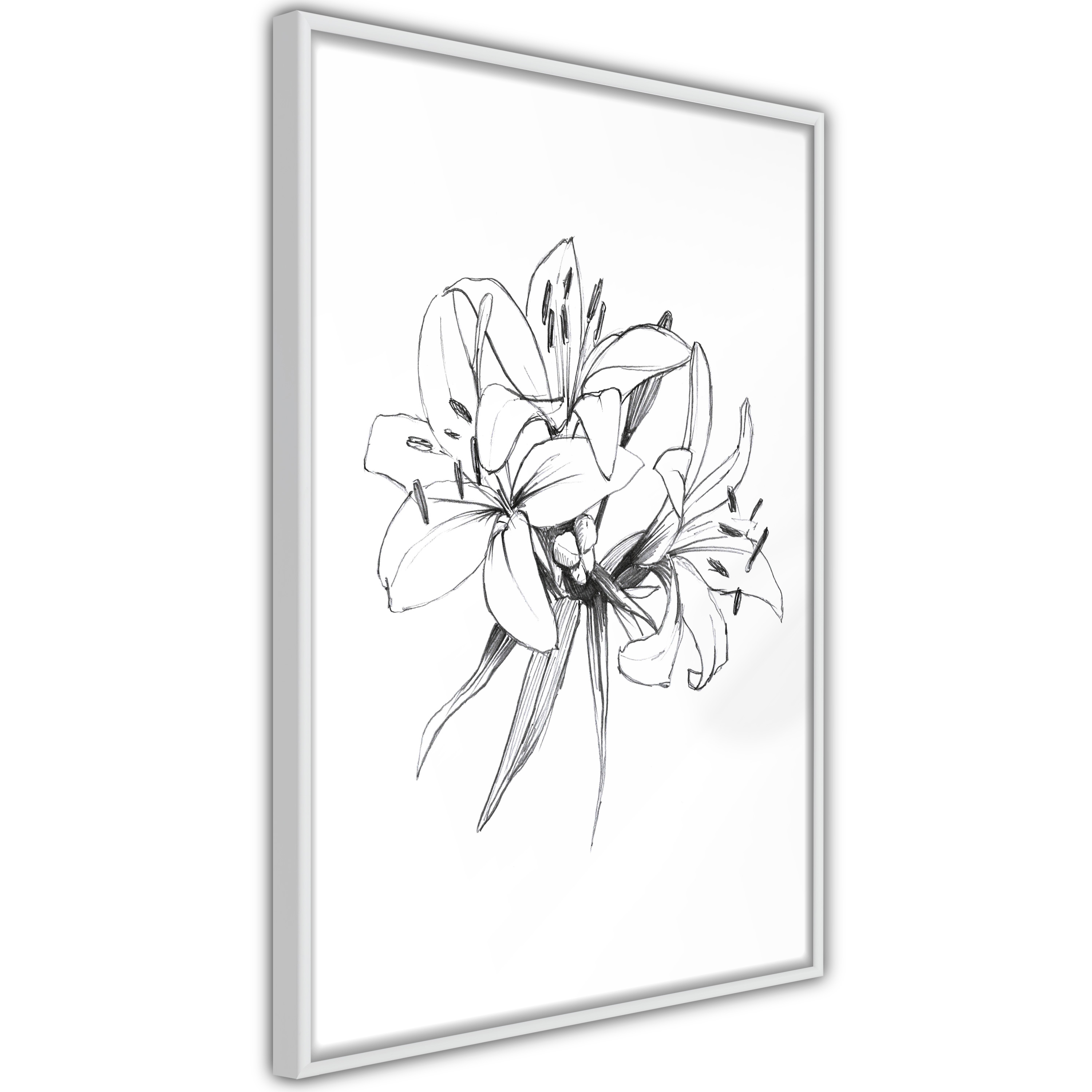 Poster - Sketch of Lillies - 20x30