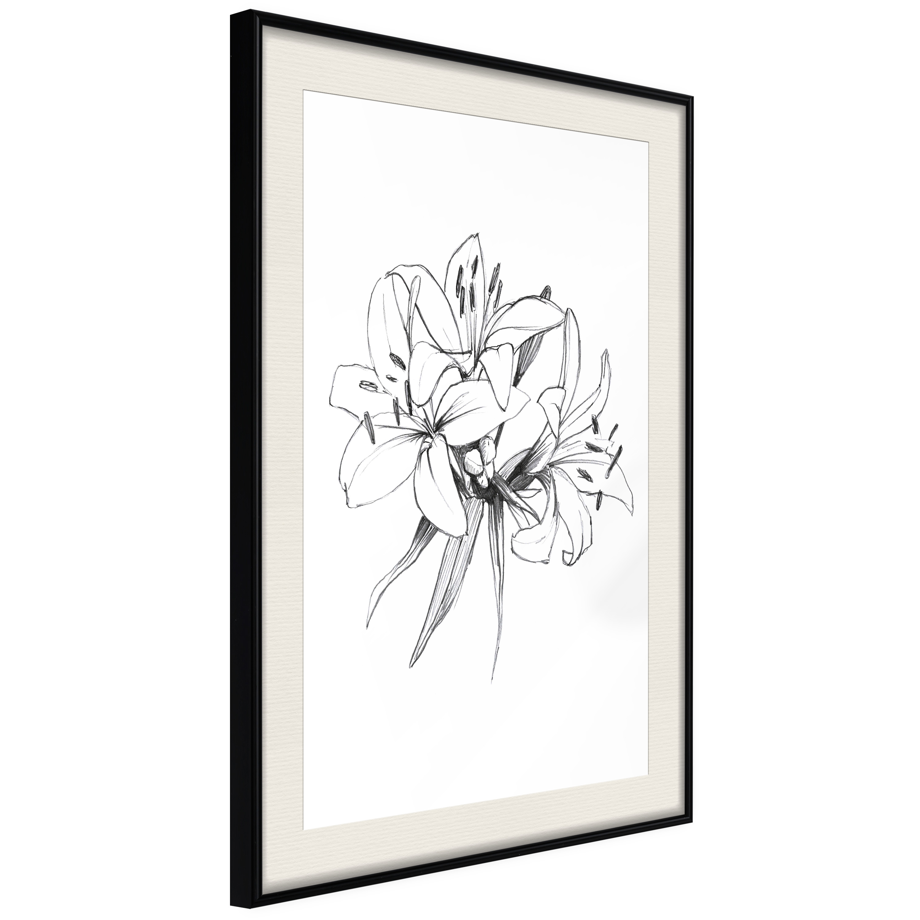 Poster - Sketch of Lillies - 40x60