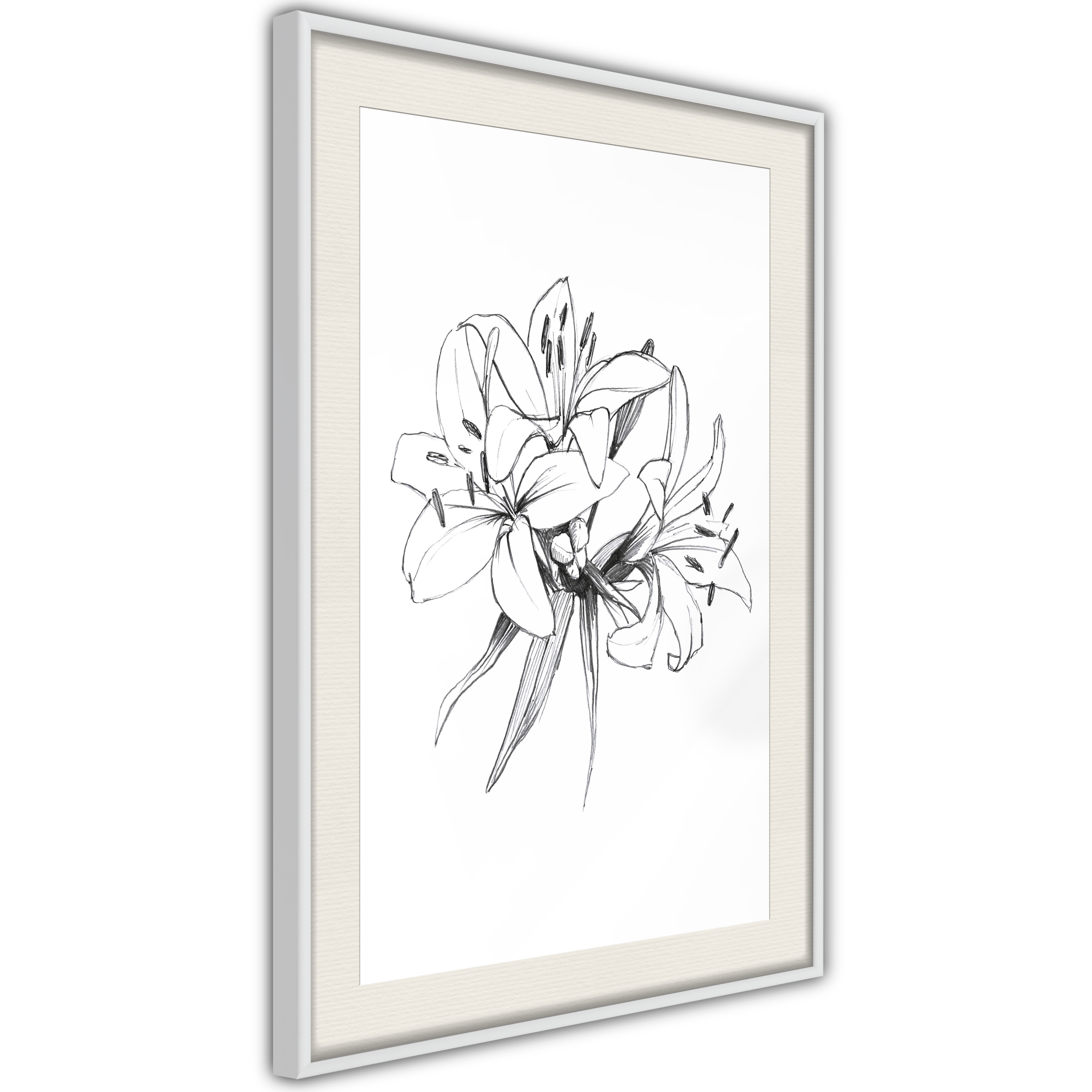 Poster - Sketch of Lillies - 30x45