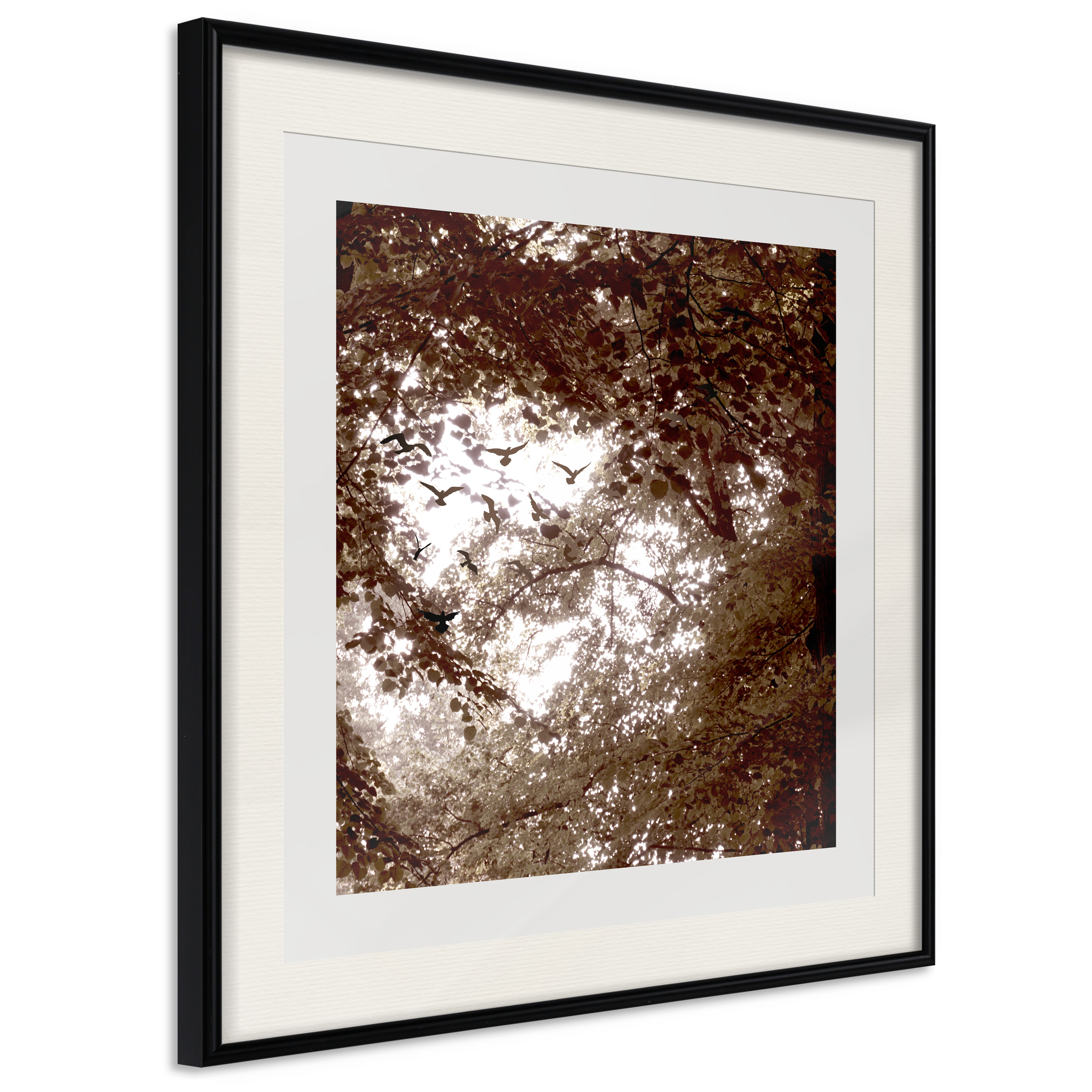 Poster - In the Shade of Trees - 50x50