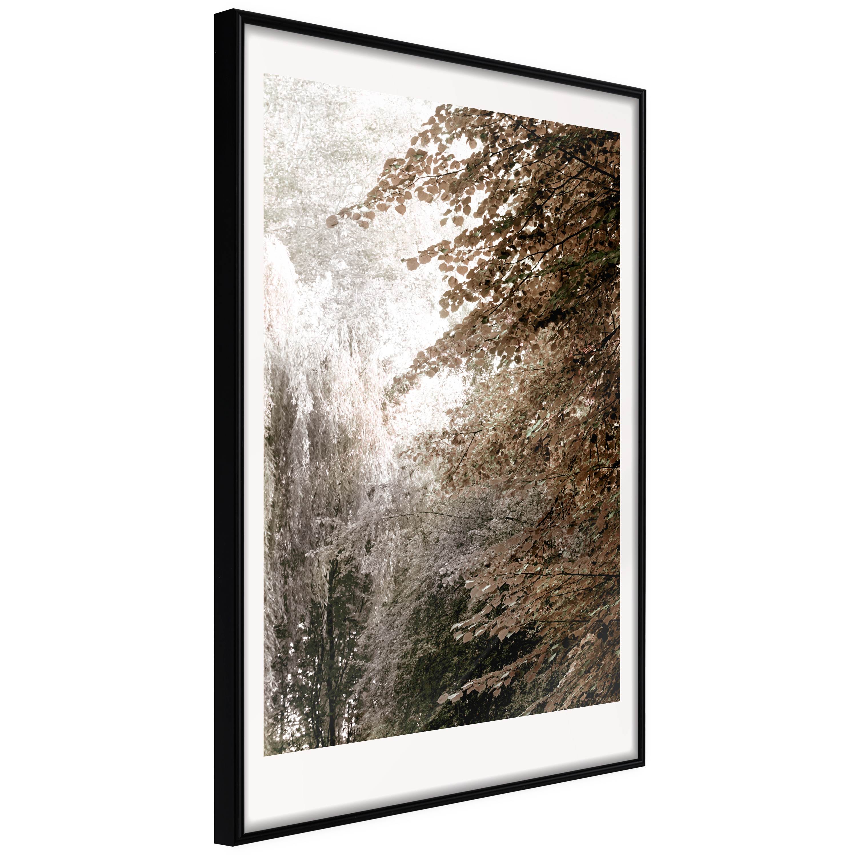 Poster - Pond in the Park - 20x30