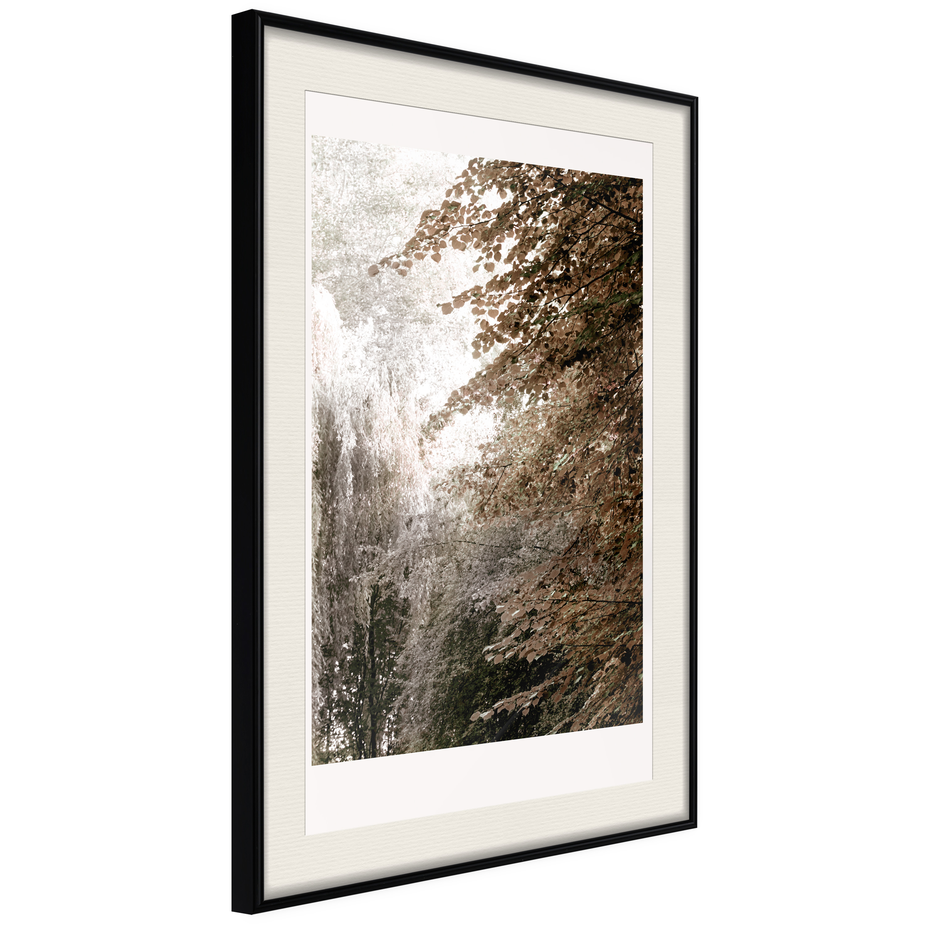 Poster - Pond in the Park - 30x45