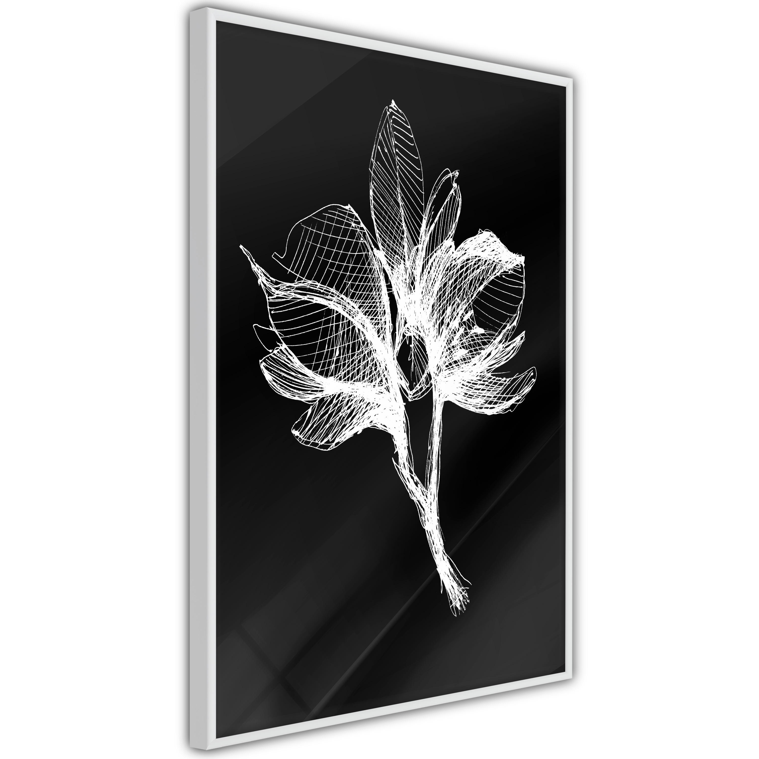 Poster - White Plant - 20x30