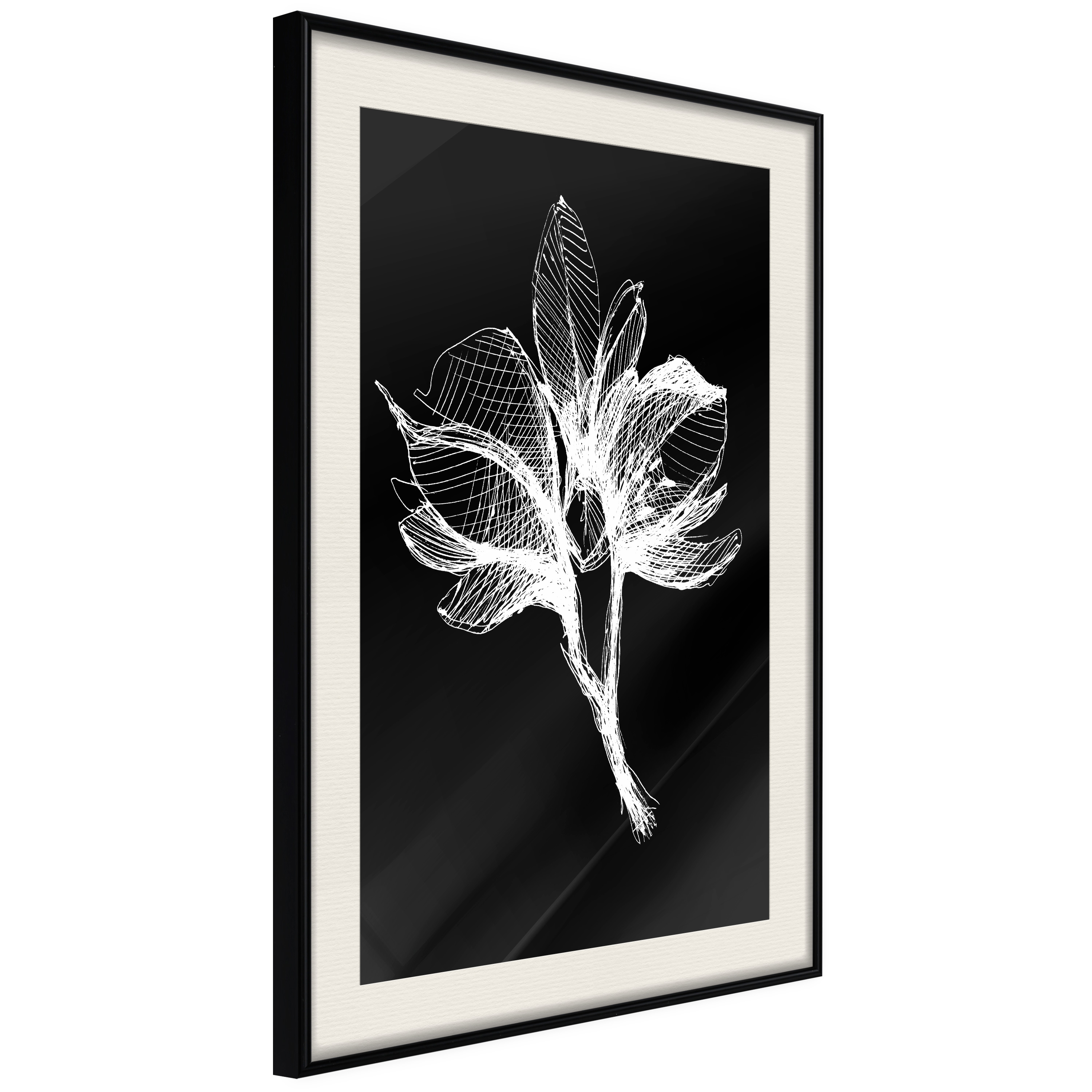Poster - White Plant - 40x60