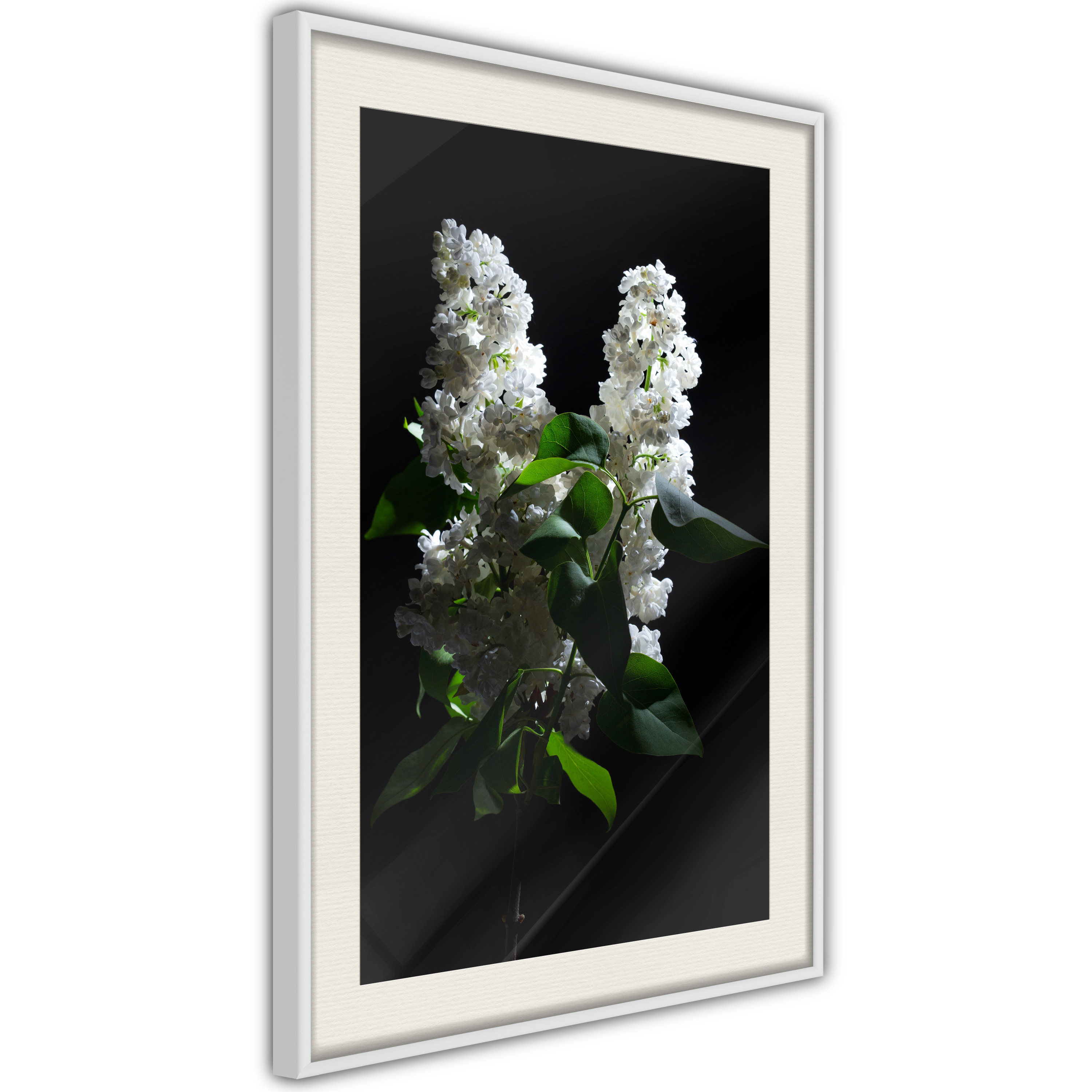 Poster - White Lilac - 20x30