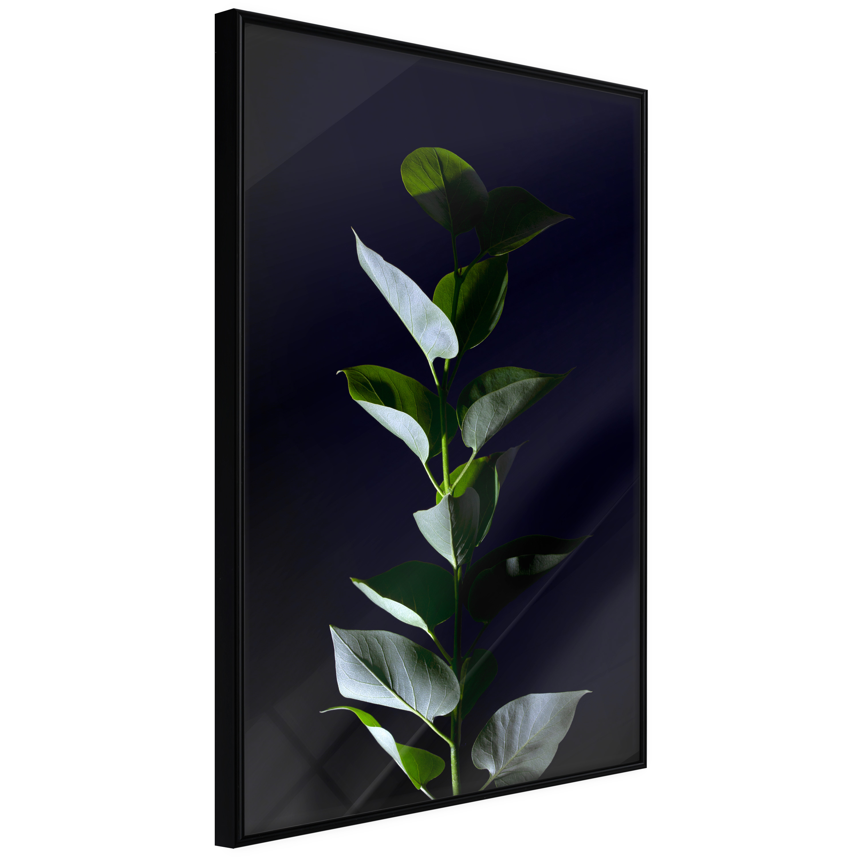 Poster - Floral Elegance - 40x60