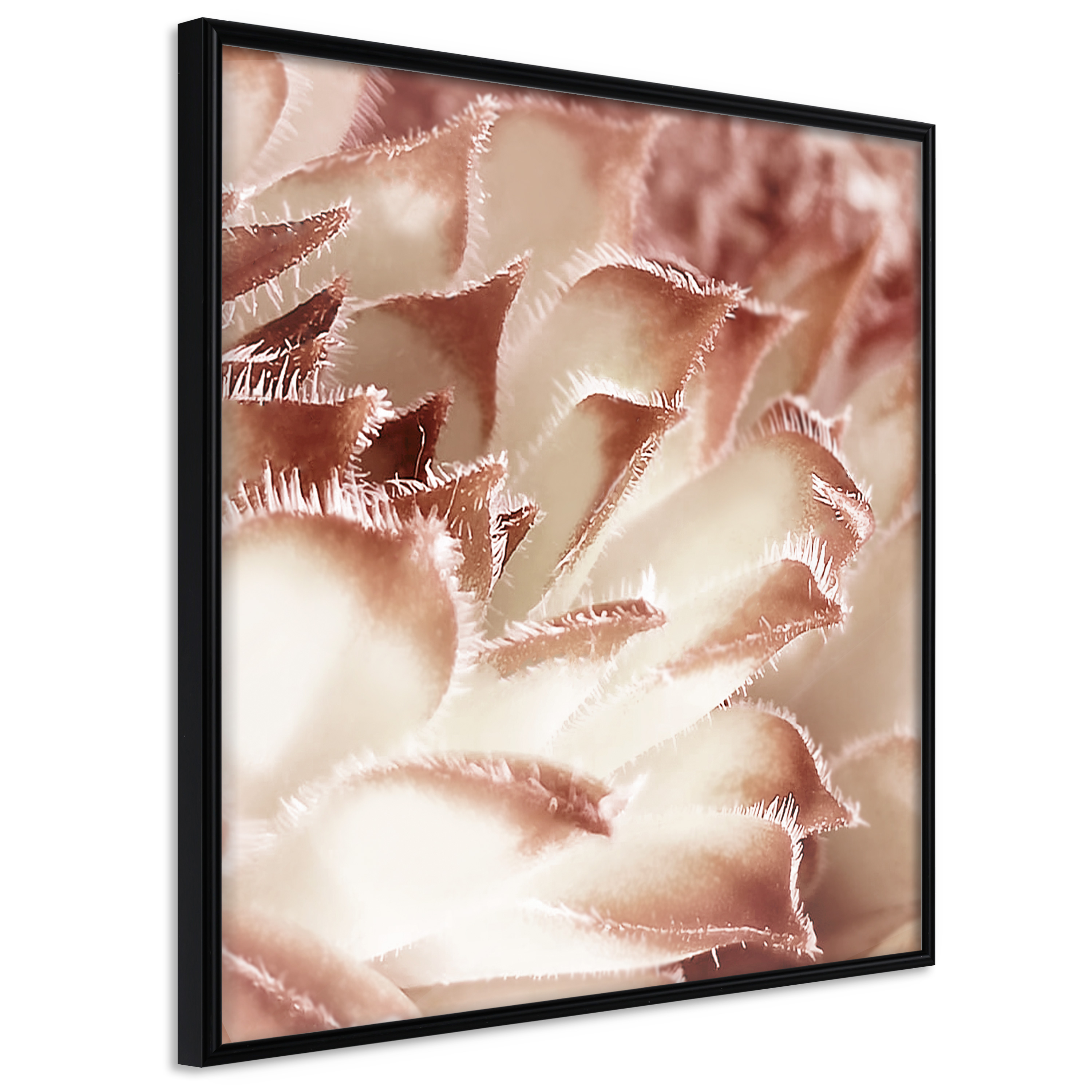 Poster - Floral Calyx - 20x20