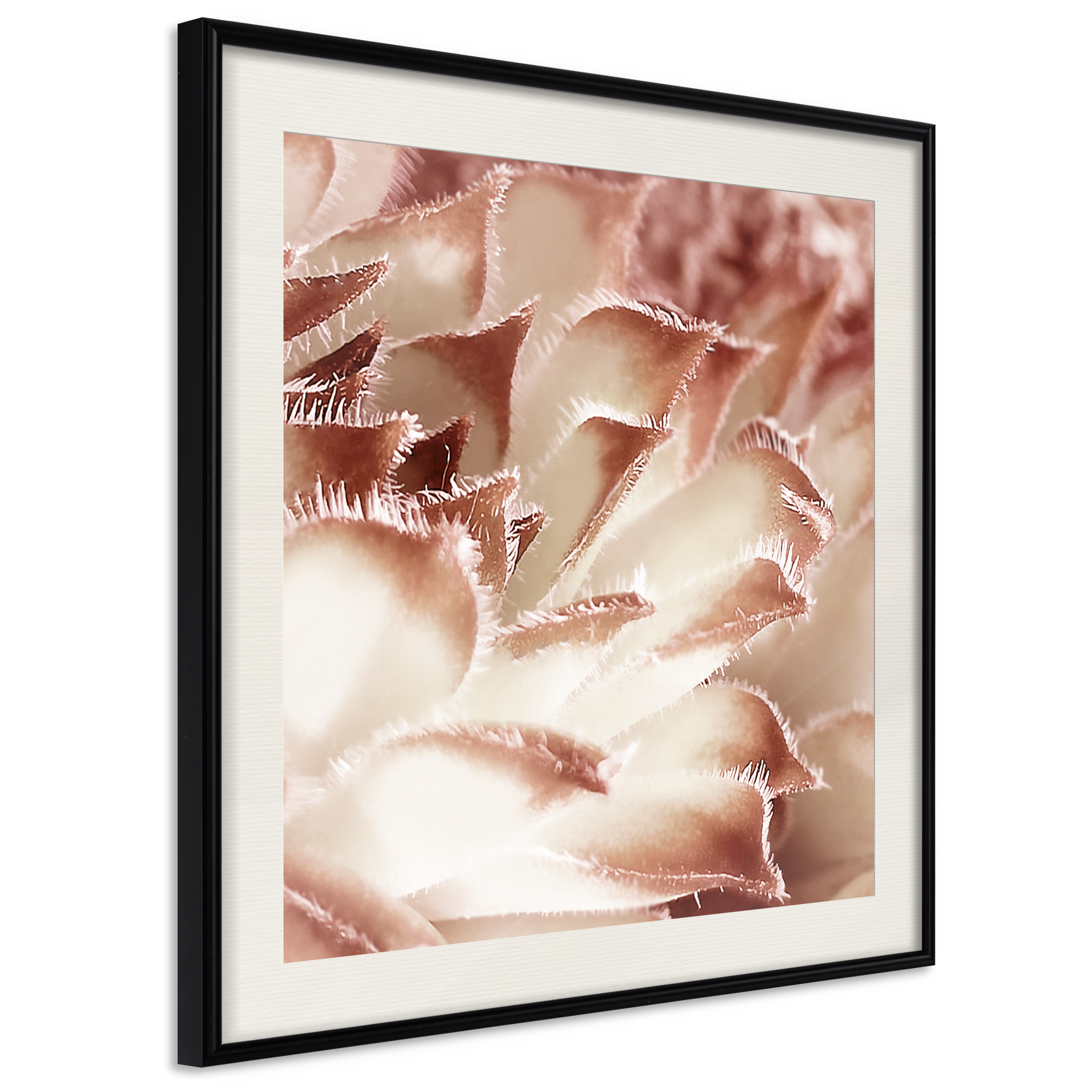 Poster - Floral Calyx - 50x50