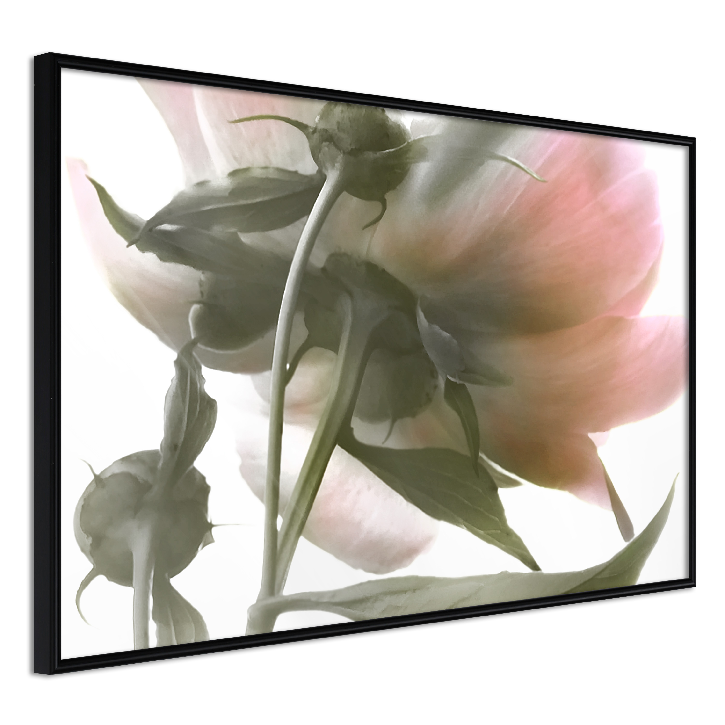 Poster - Under the Flower - 45x30
