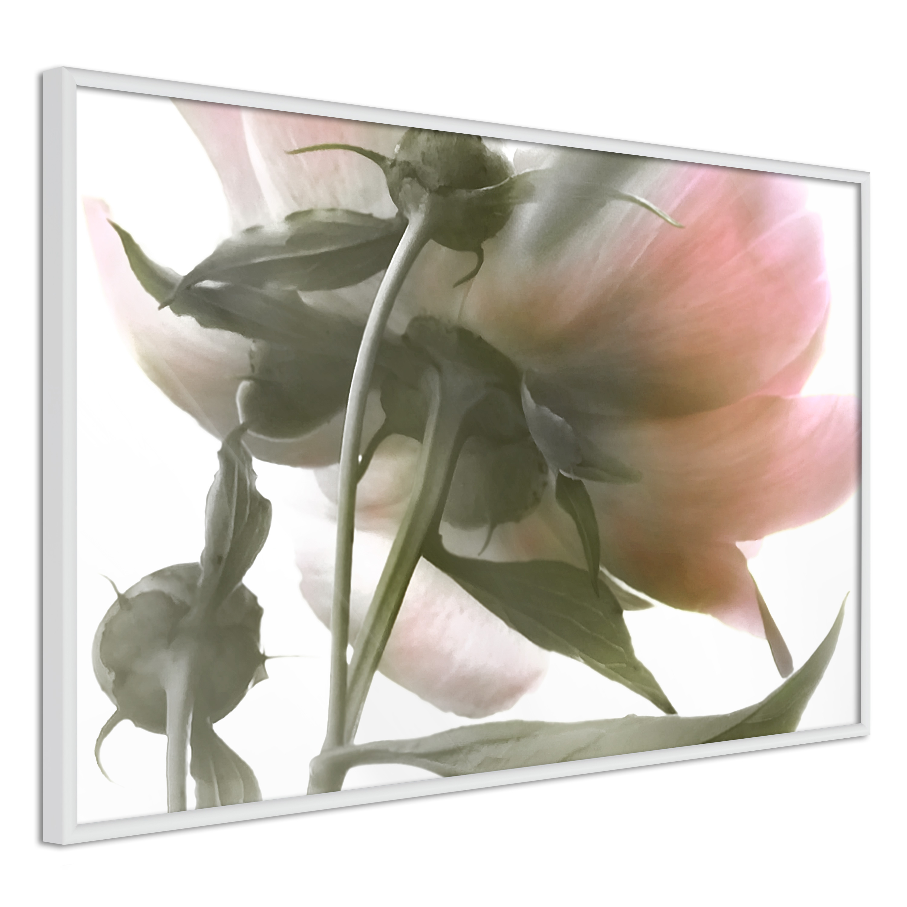 Poster - Under the Flower - 30x20