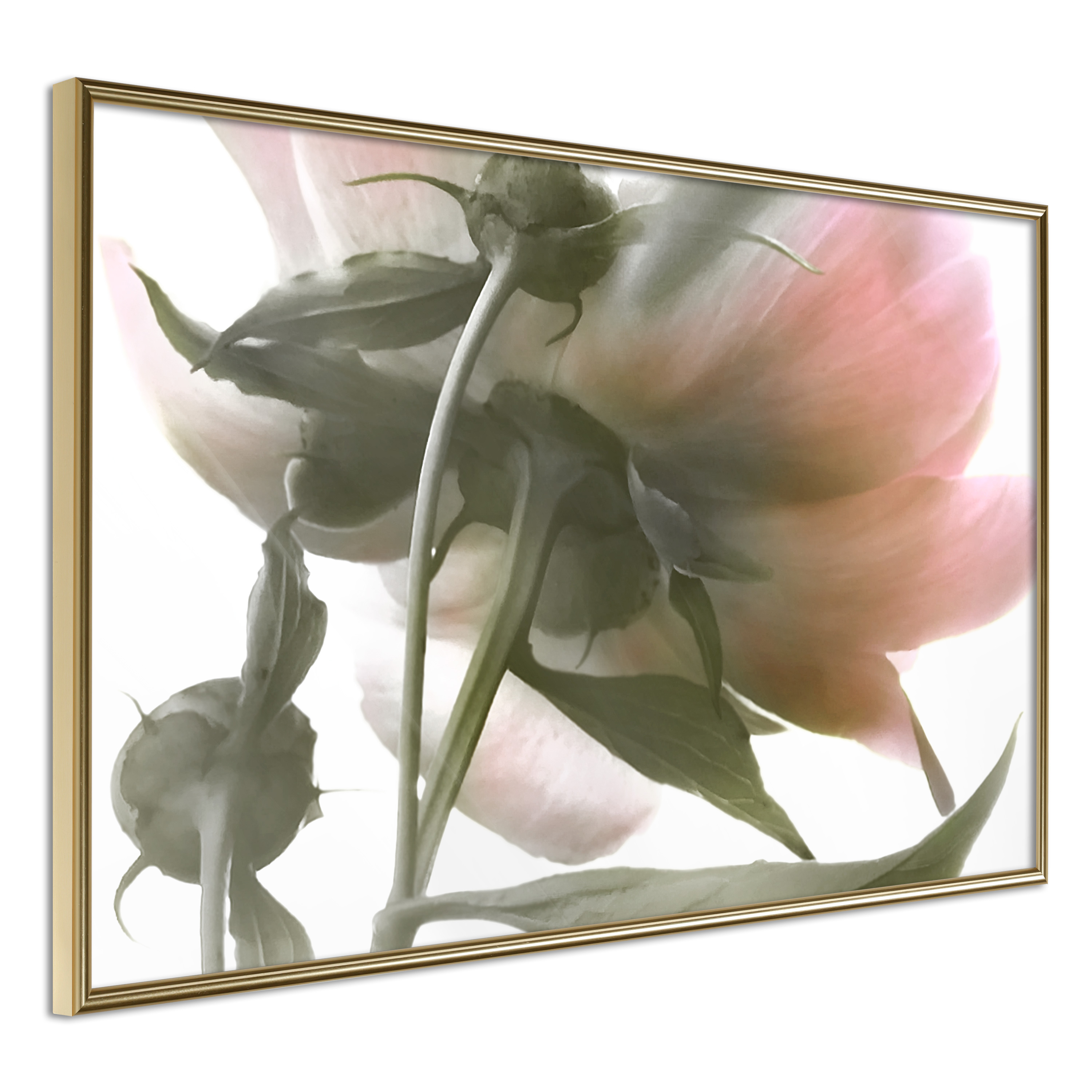 Poster - Under the Flower - 30x20