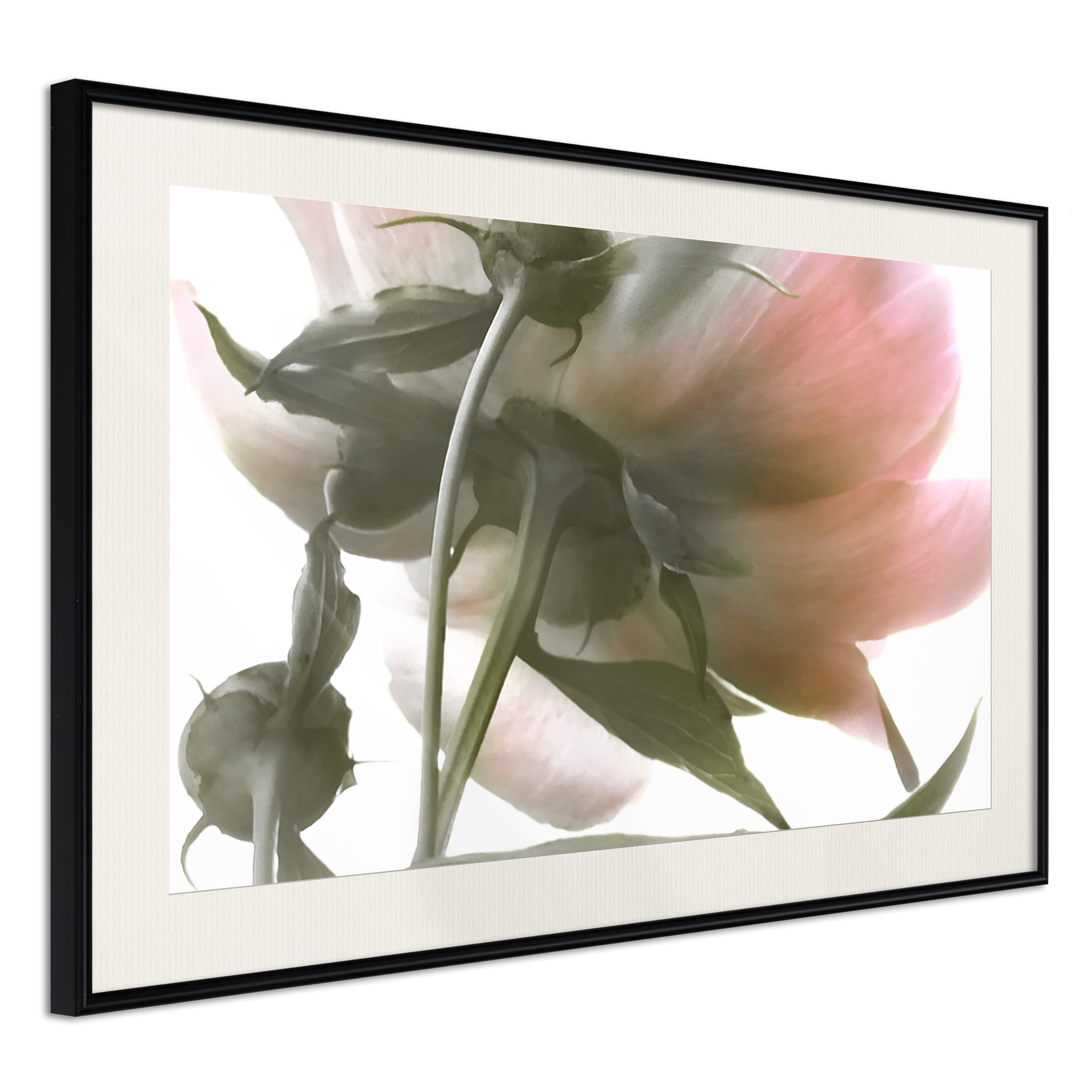 Poster - Under the Flower - 90x60