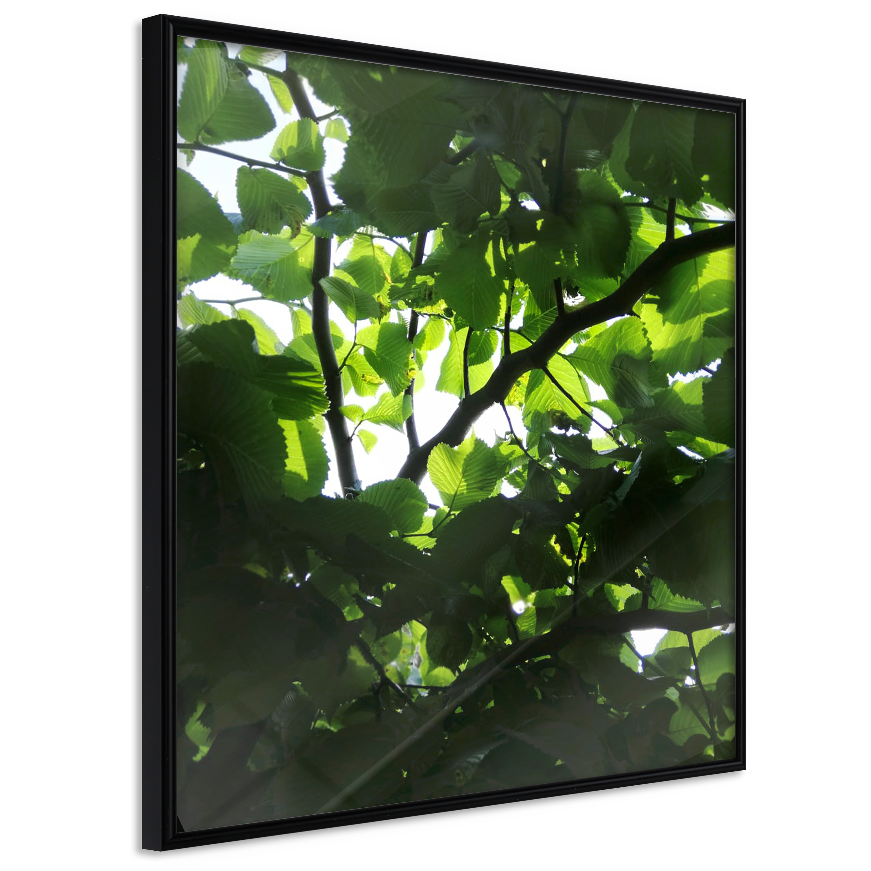 Poster - Under Cover of Leaves - 30x30