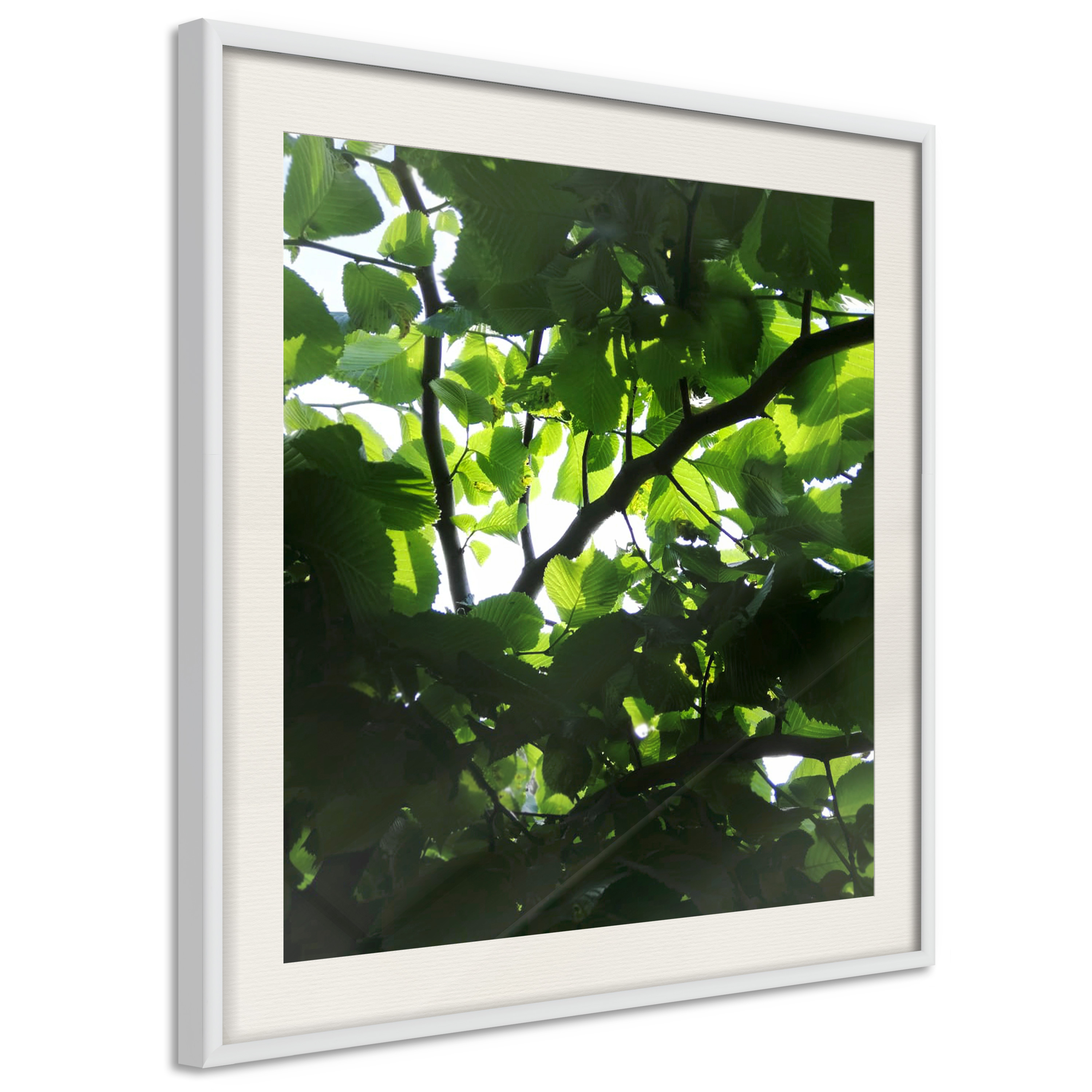 Poster - Under Cover of Leaves - 30x30