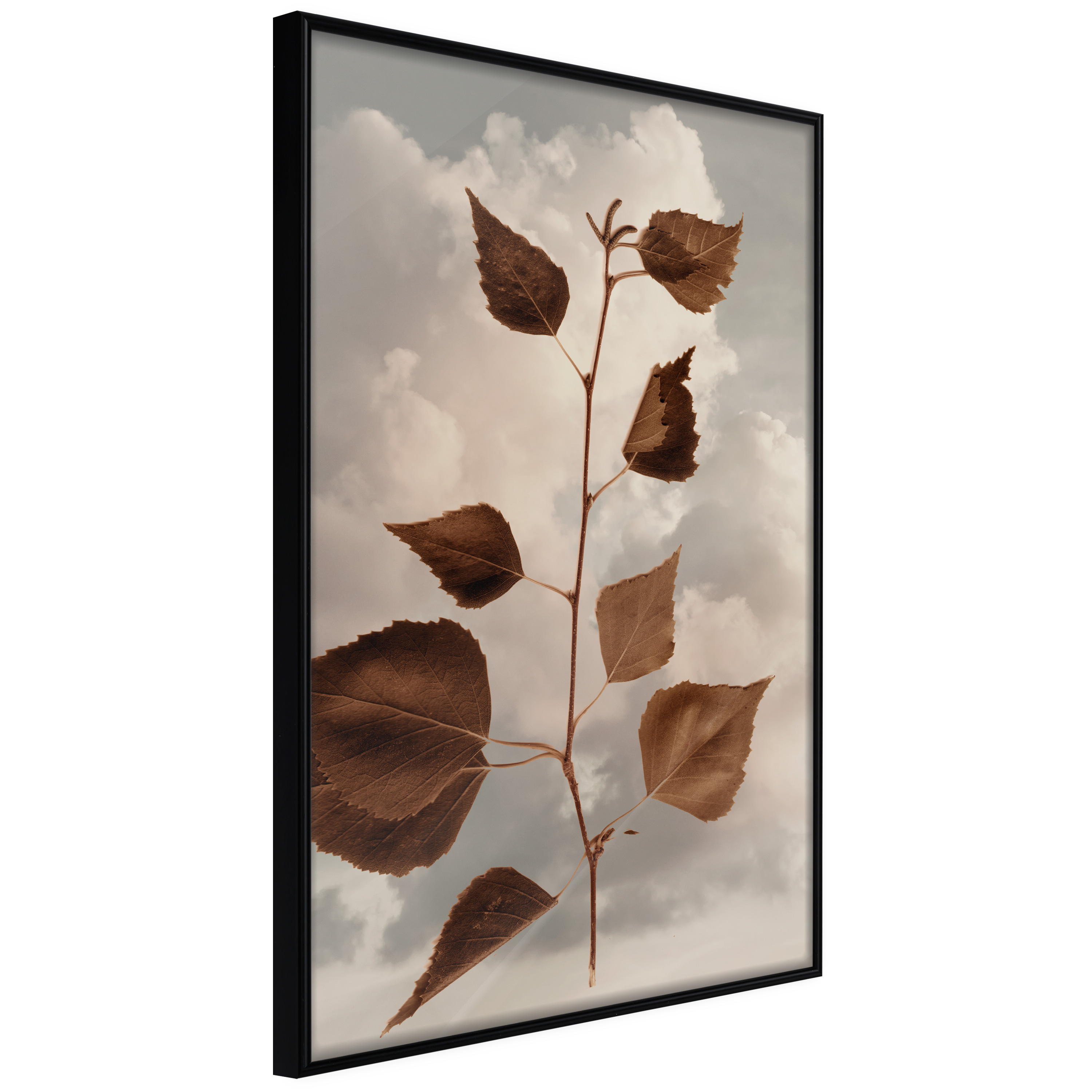 Poster - Leaves in the Clouds - 20x30