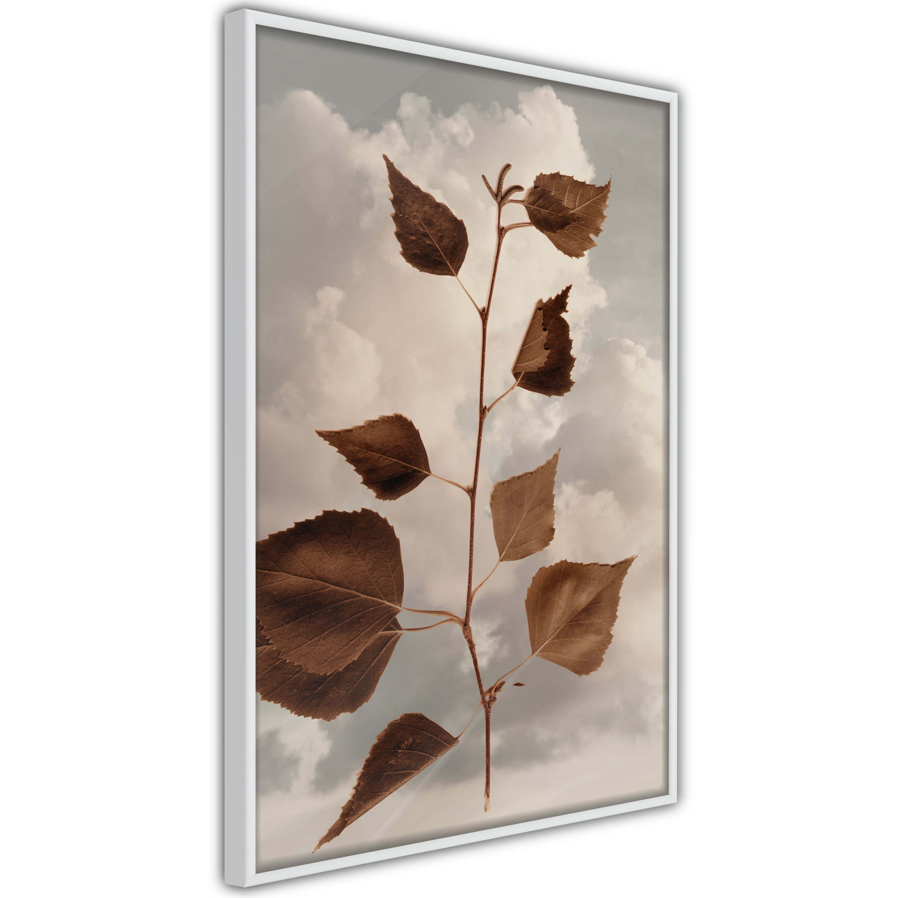 Poster - Leaves in the Clouds - 20x30