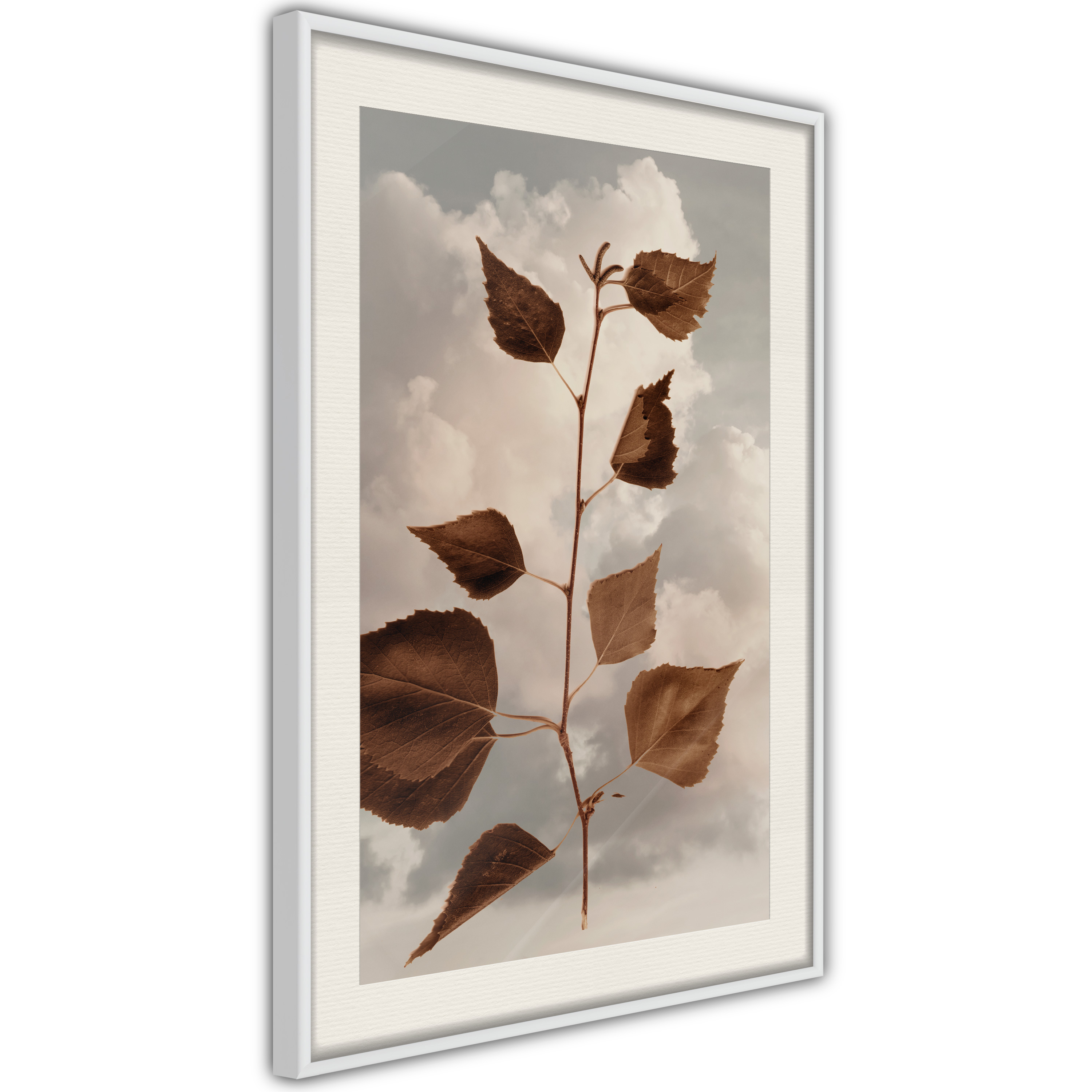 Poster - Leaves in the Clouds - 30x45