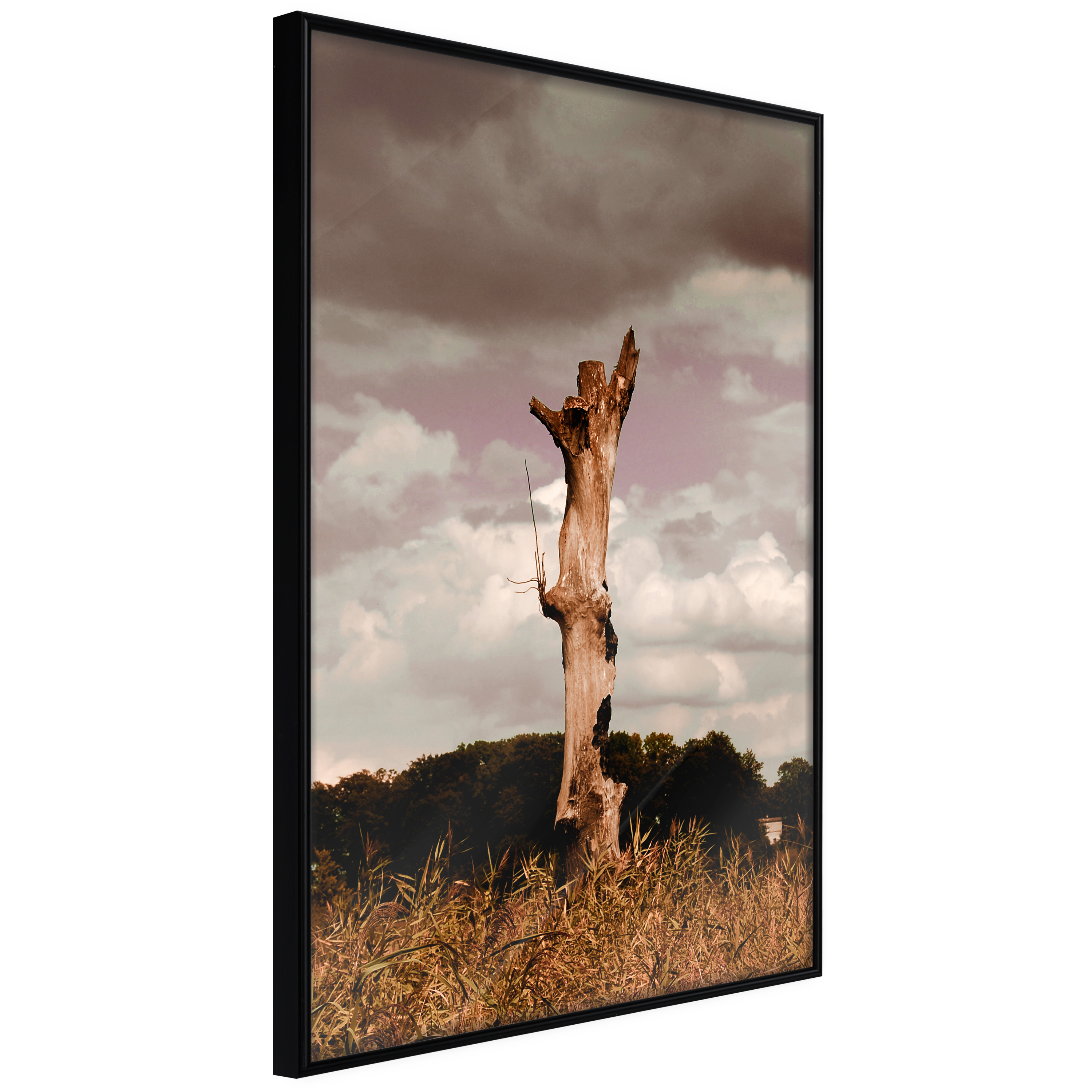 Poster - Loneliness in Nature - 30x45