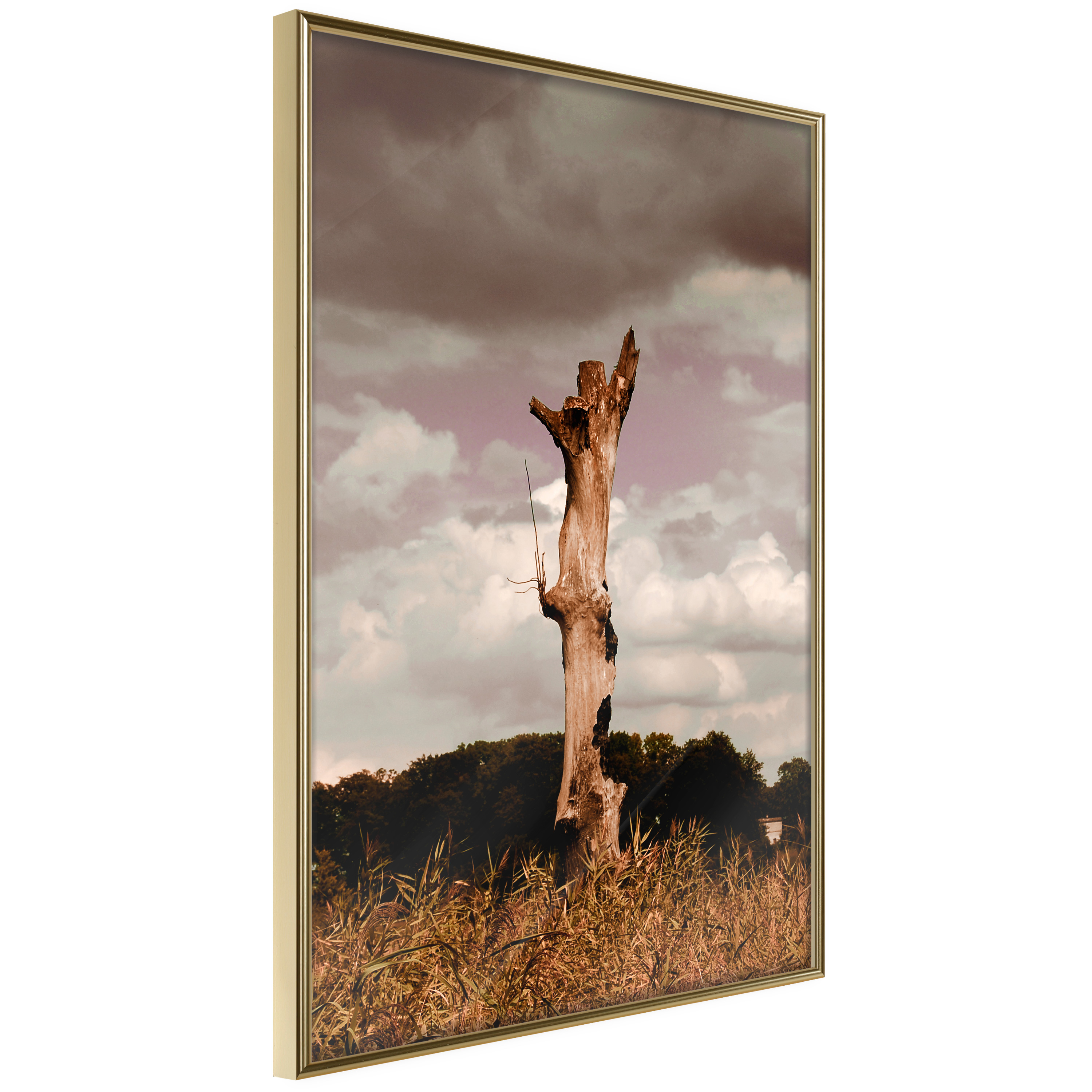 Poster - Loneliness in Nature - 40x60