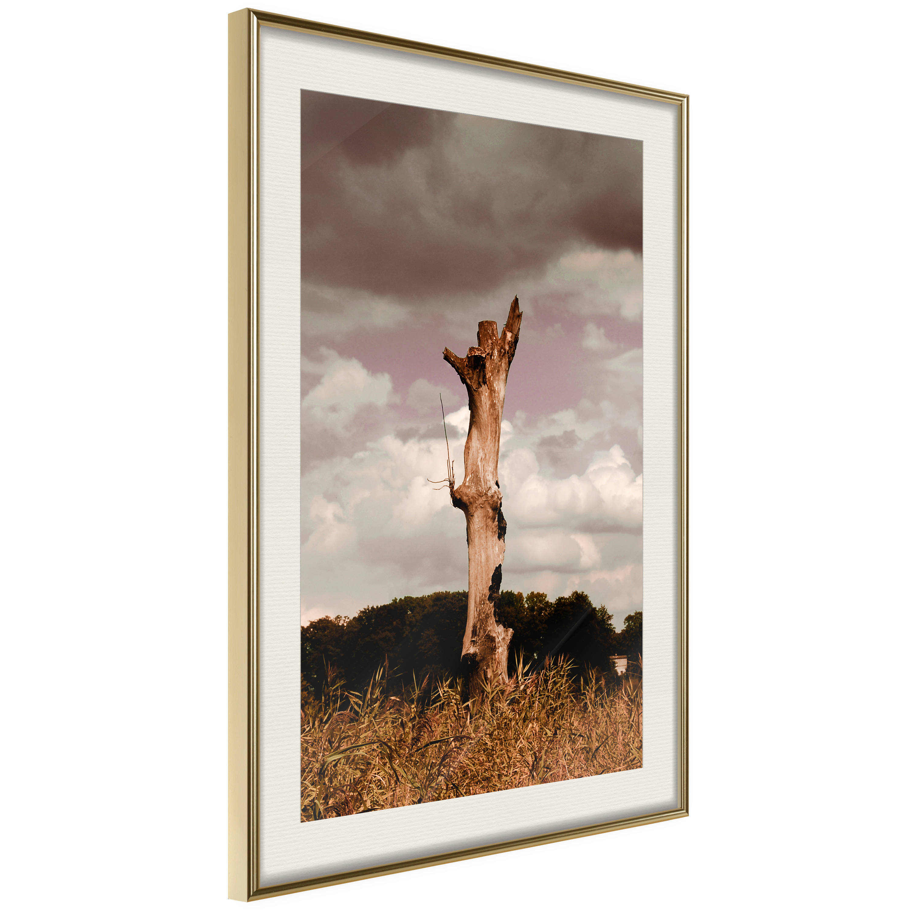 Poster - Loneliness in Nature - 30x45