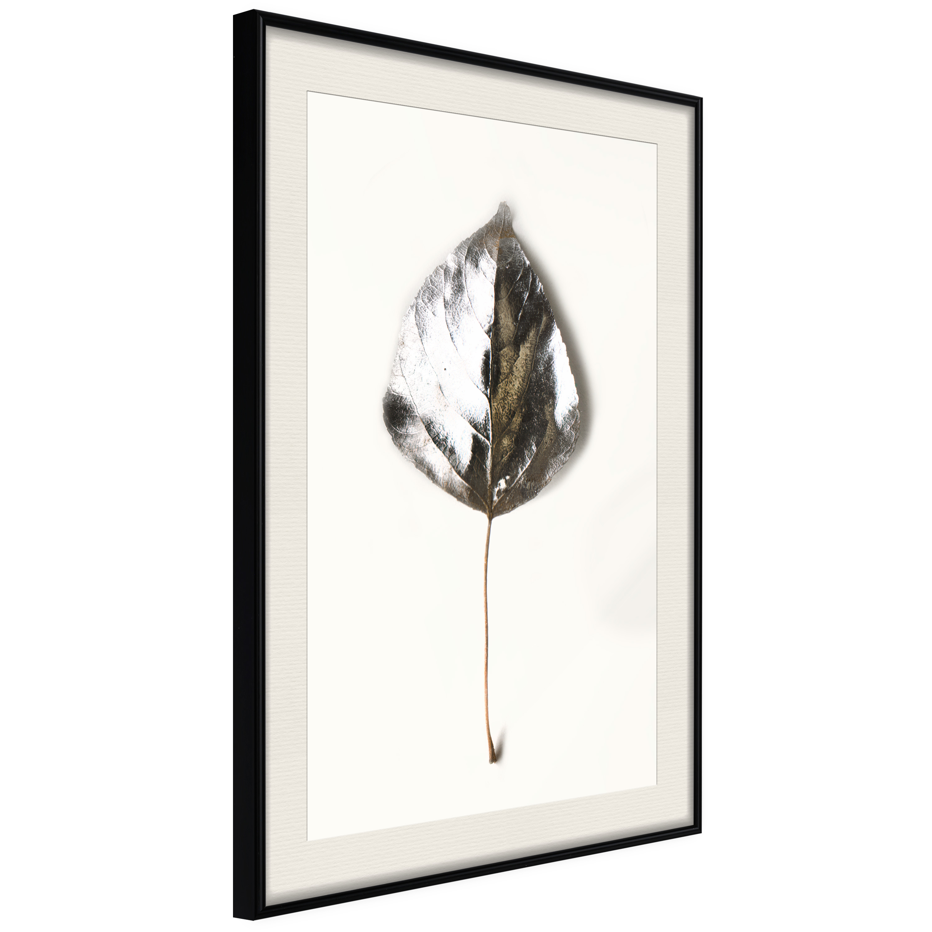 Poster - Silvery Leaf - 20x30