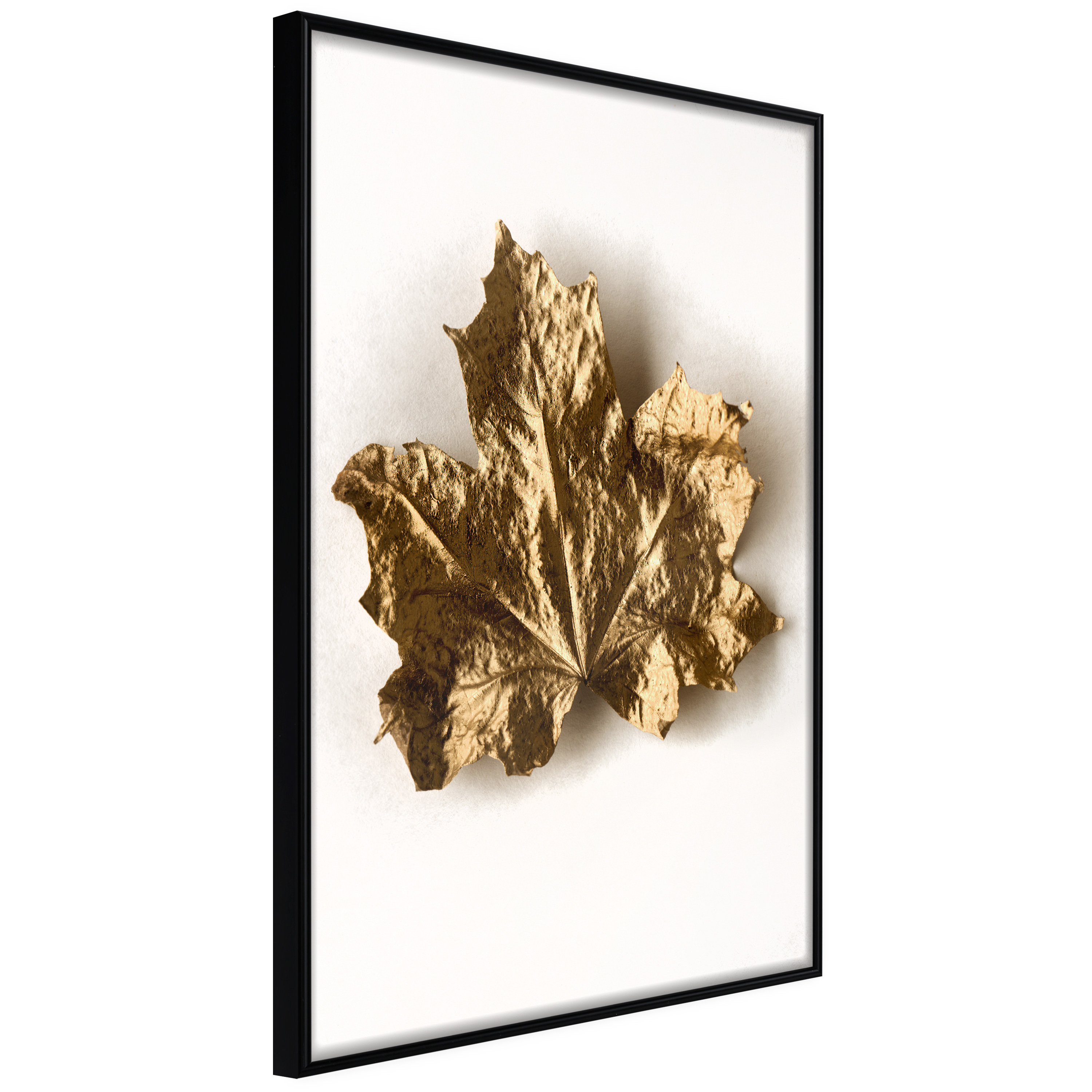 Poster - Dried Maple Leaf - 20x30