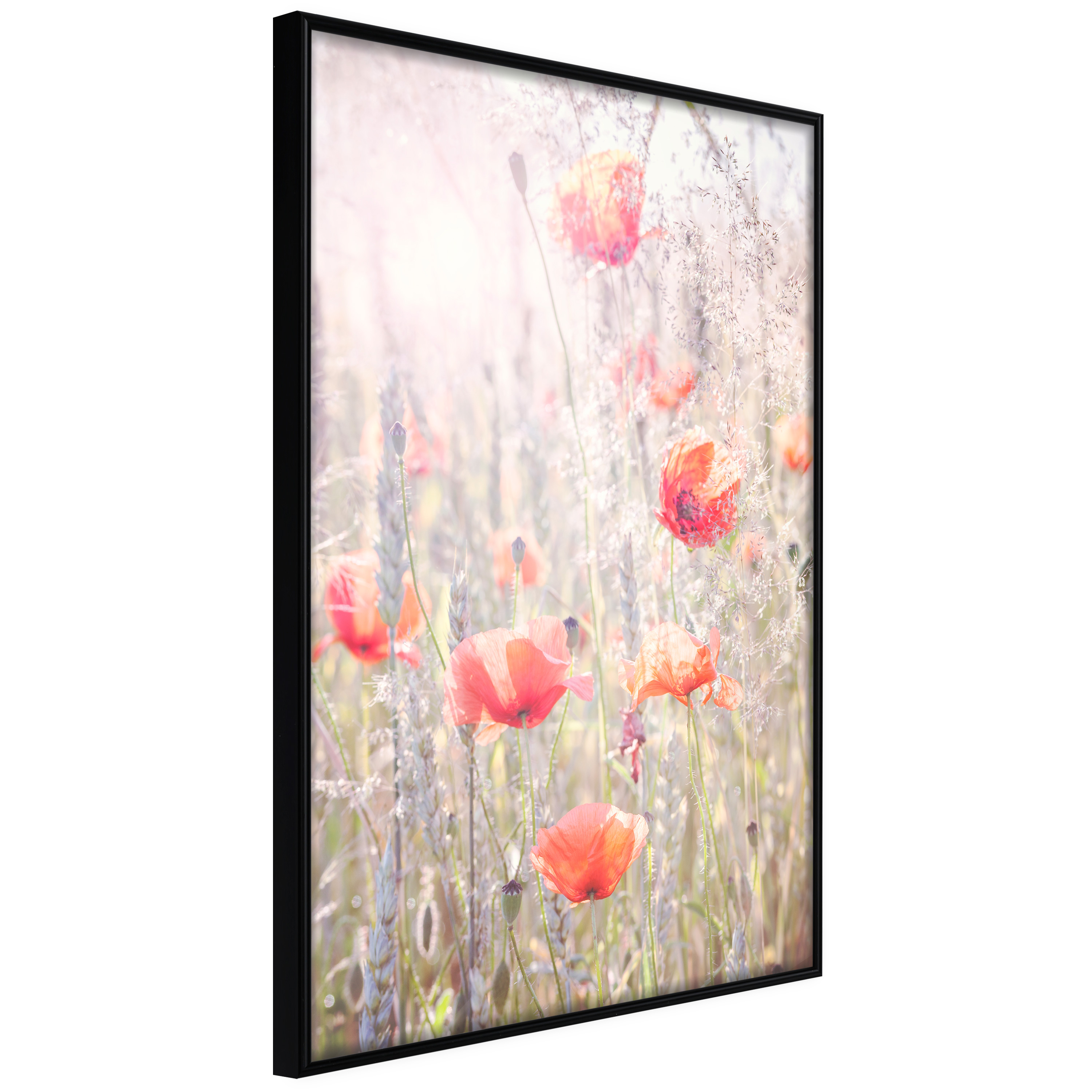Poster - Poppies - 20x30