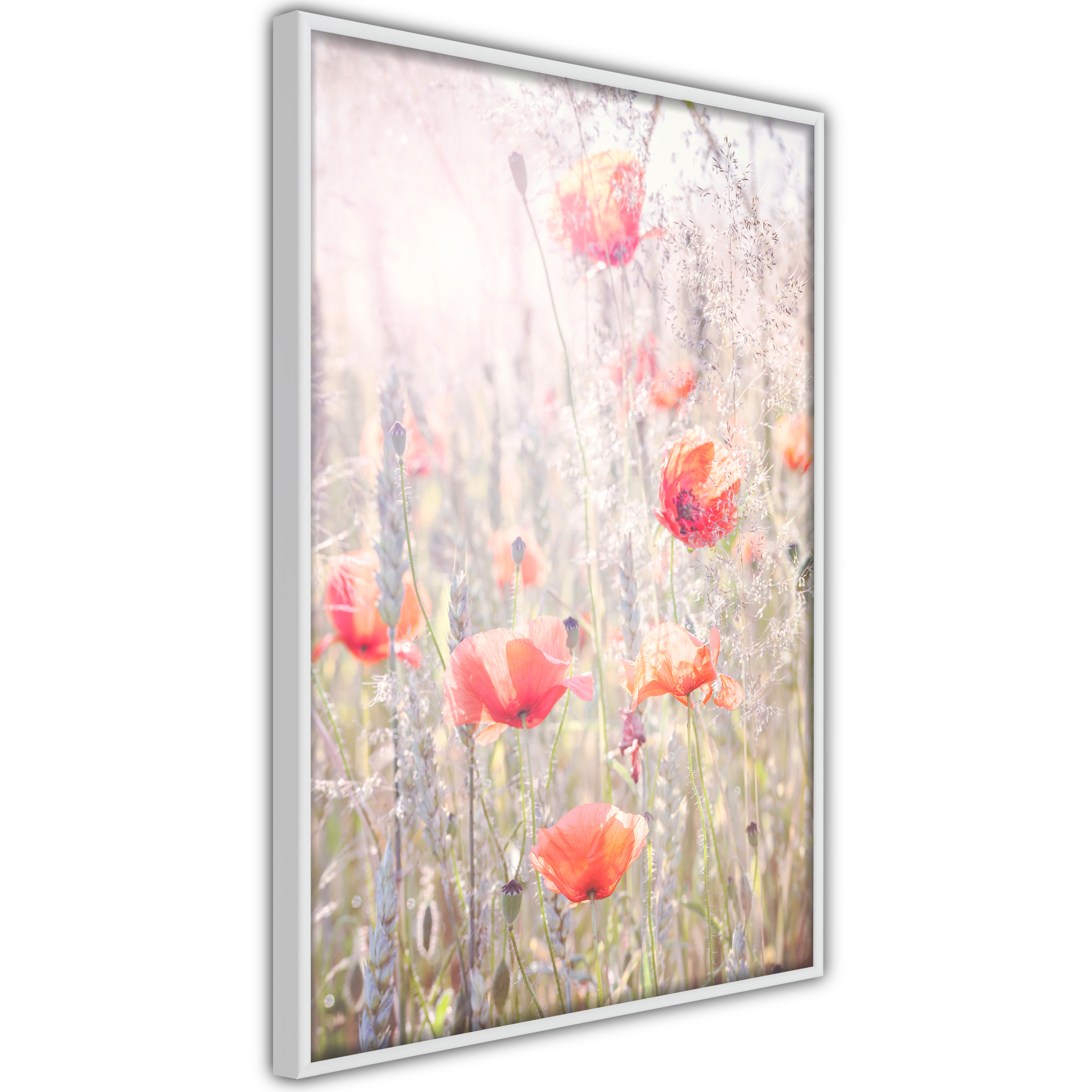 Poster - Poppies - 30x45