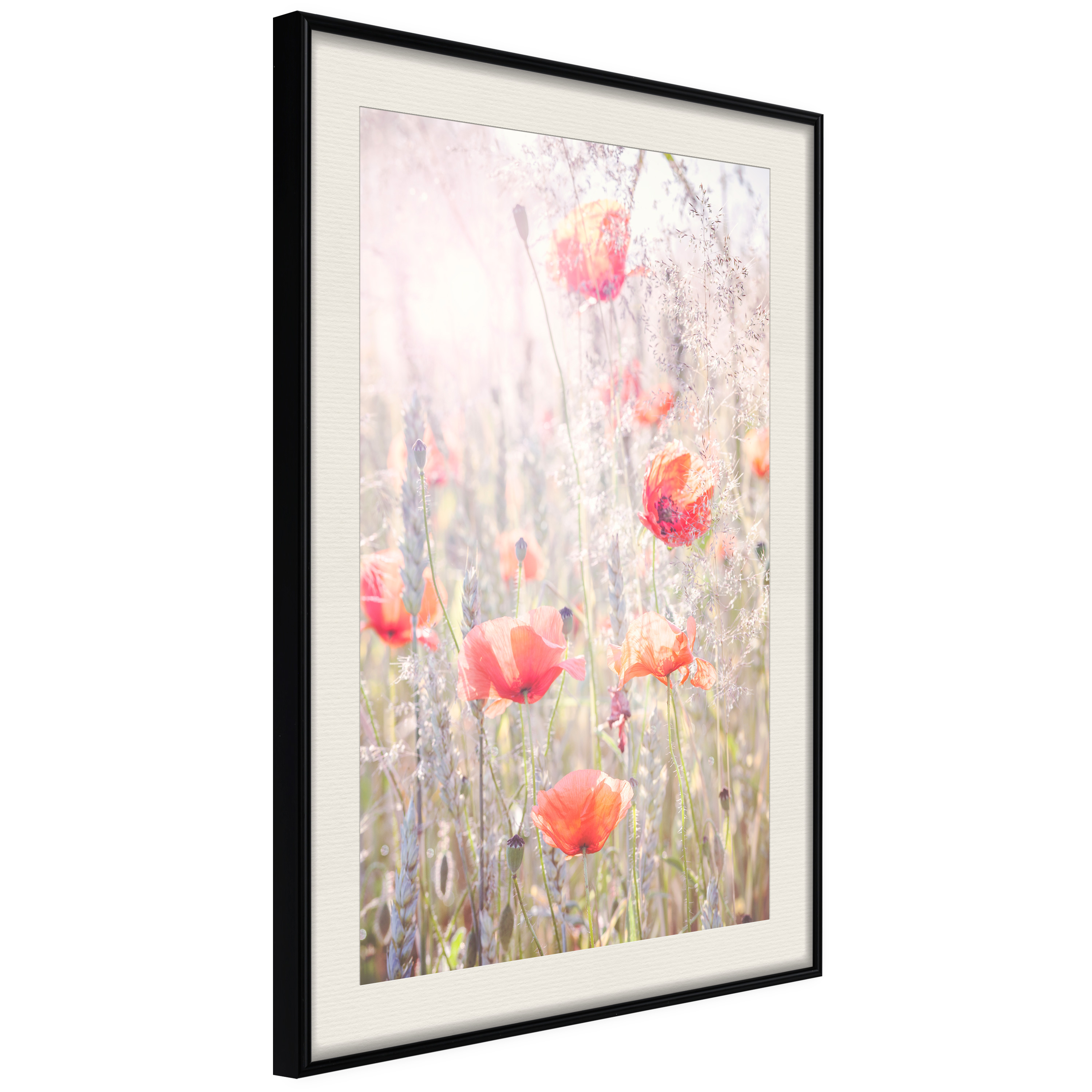 Poster - Poppies - 40x60