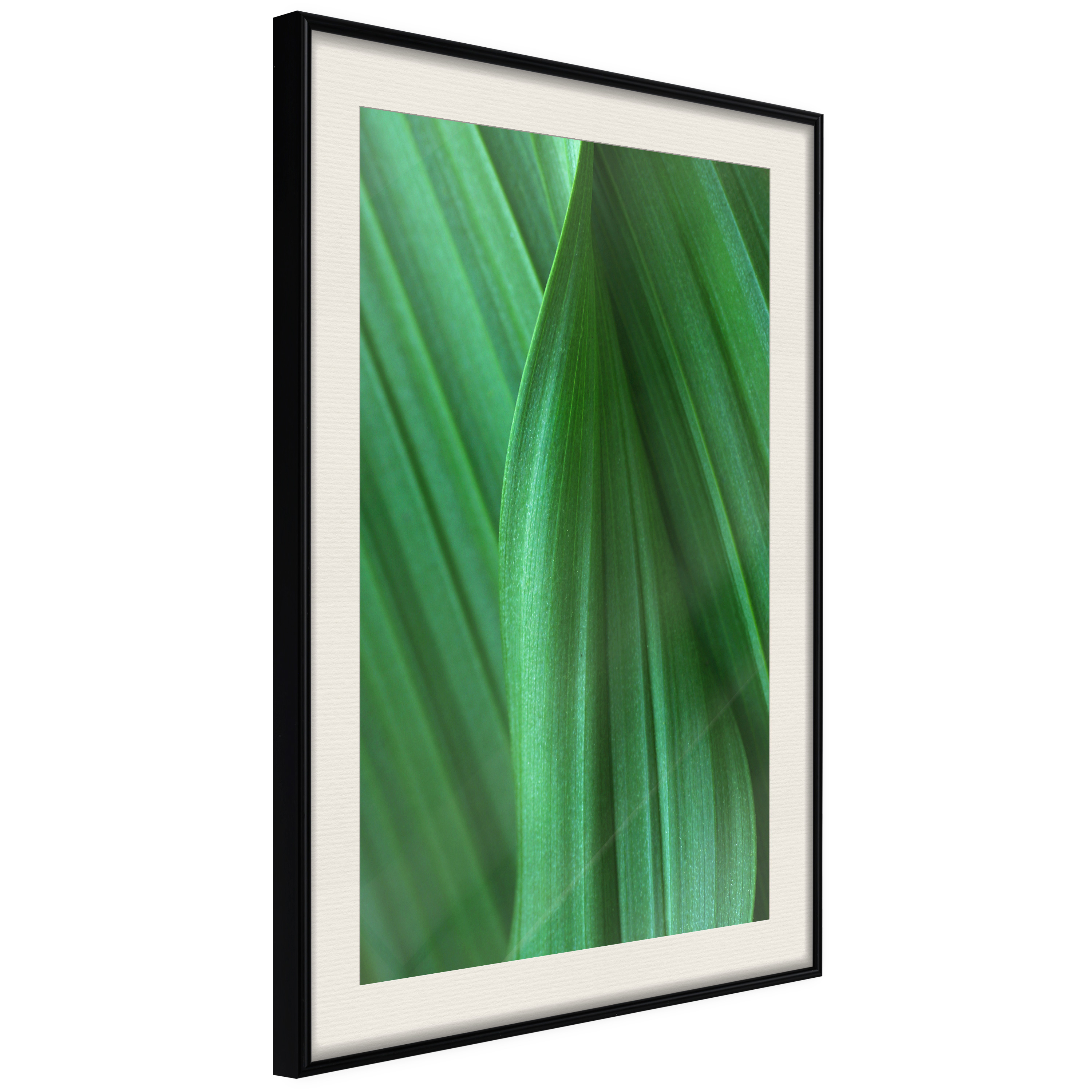 Poster - Leaf Structure - 40x60