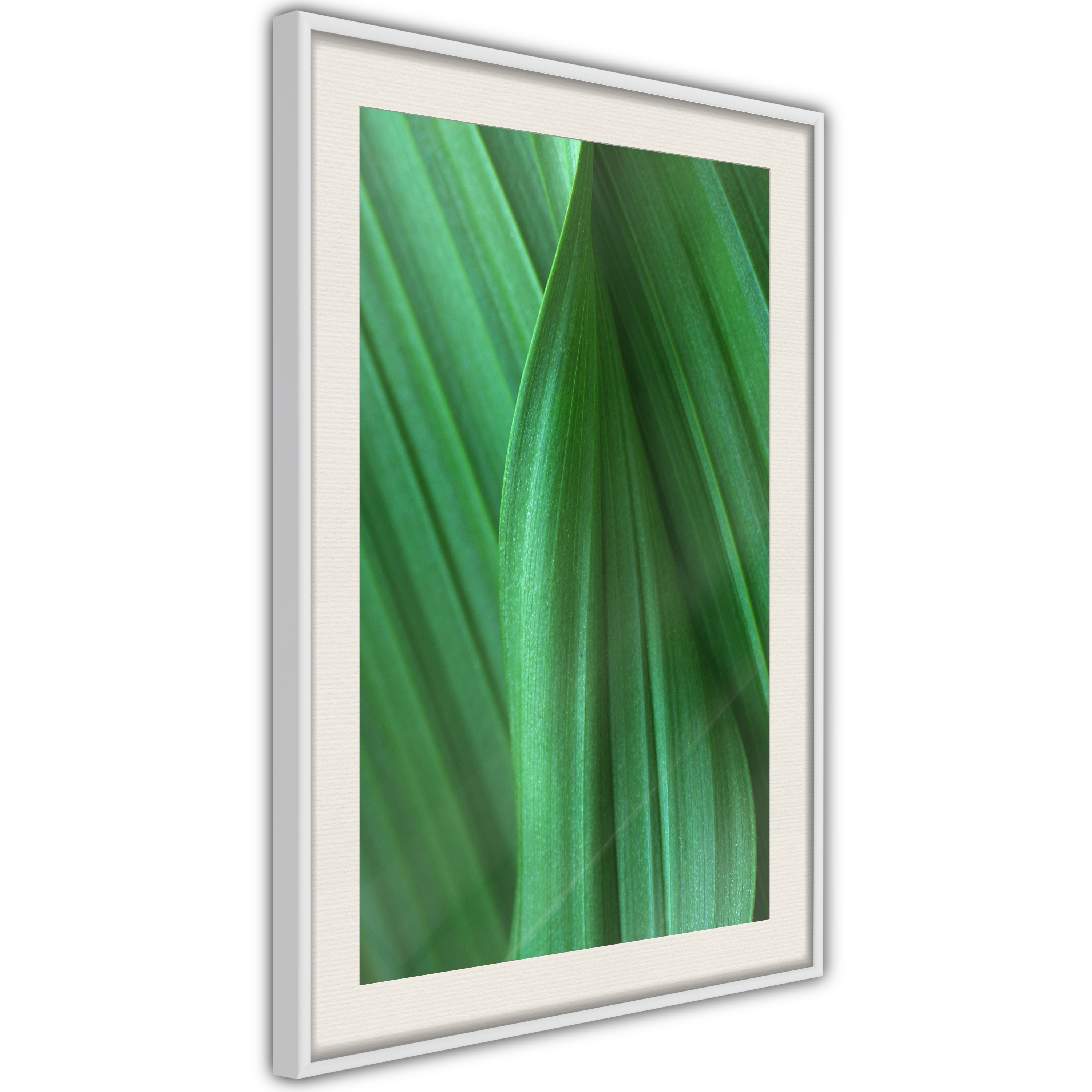 Poster - Leaf Structure - 20x30